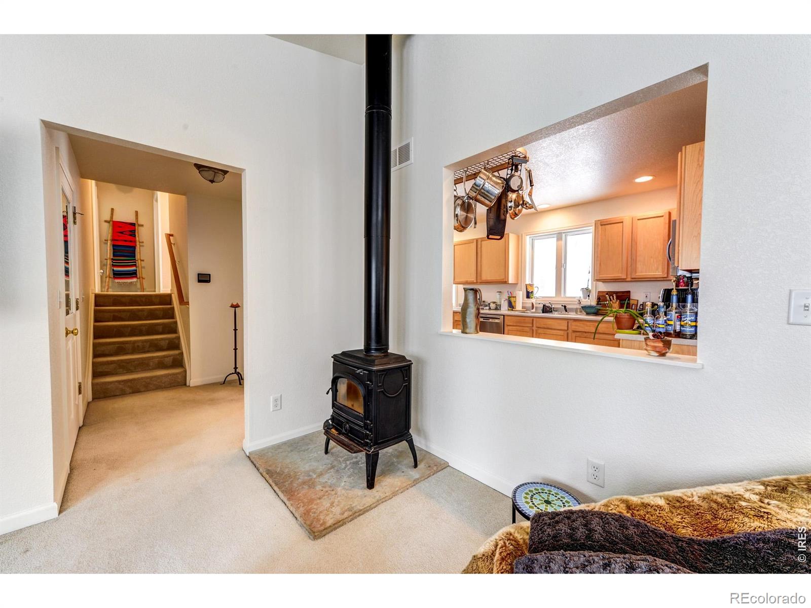 MLS Image #16 for 7  ronnie road,golden, Colorado