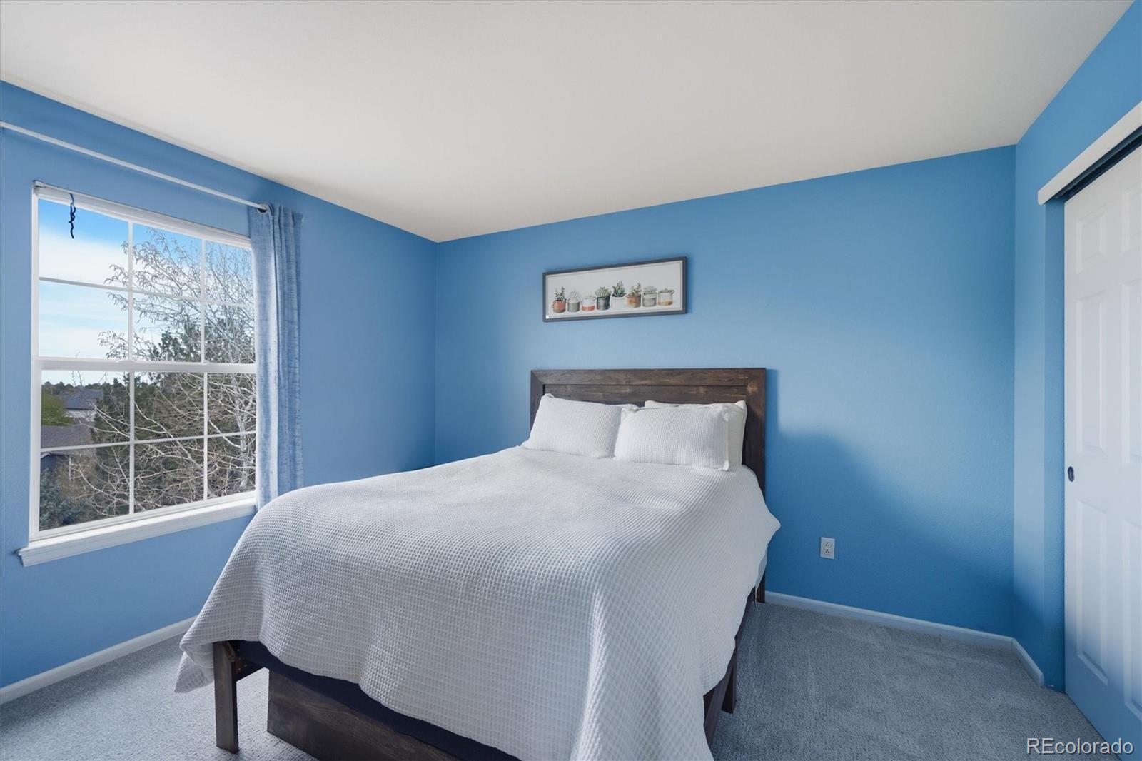 MLS Image #29 for 379  shoreham circle,castle pines, Colorado