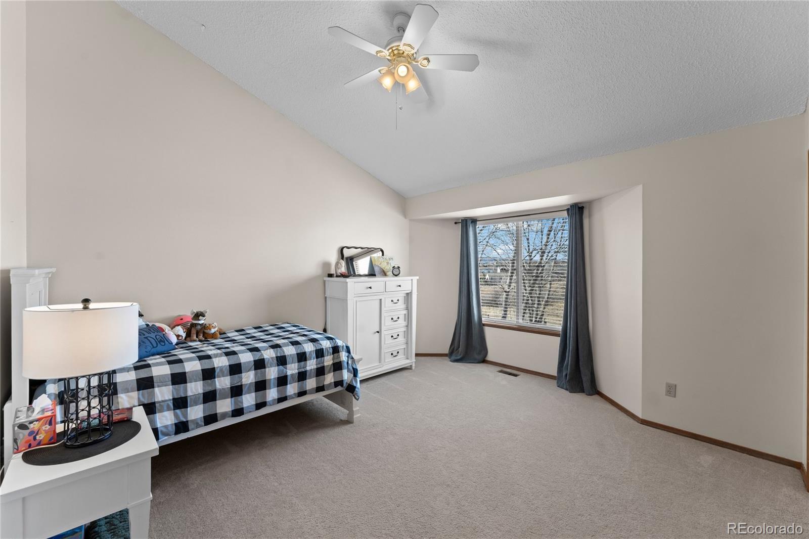 MLS Image #28 for 925  wuthering heights drive,colorado springs, Colorado