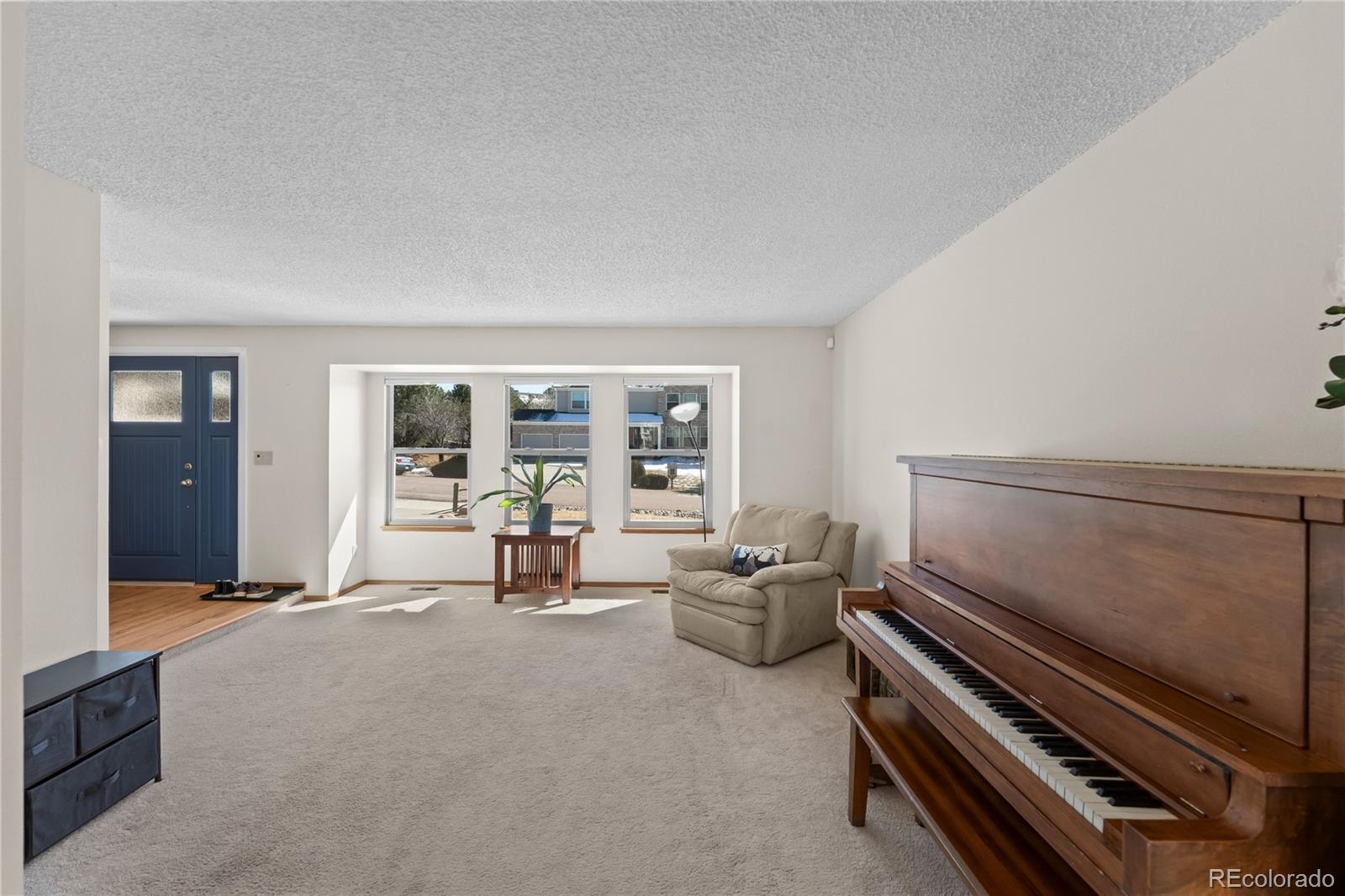 MLS Image #6 for 925  wuthering heights drive,colorado springs, Colorado