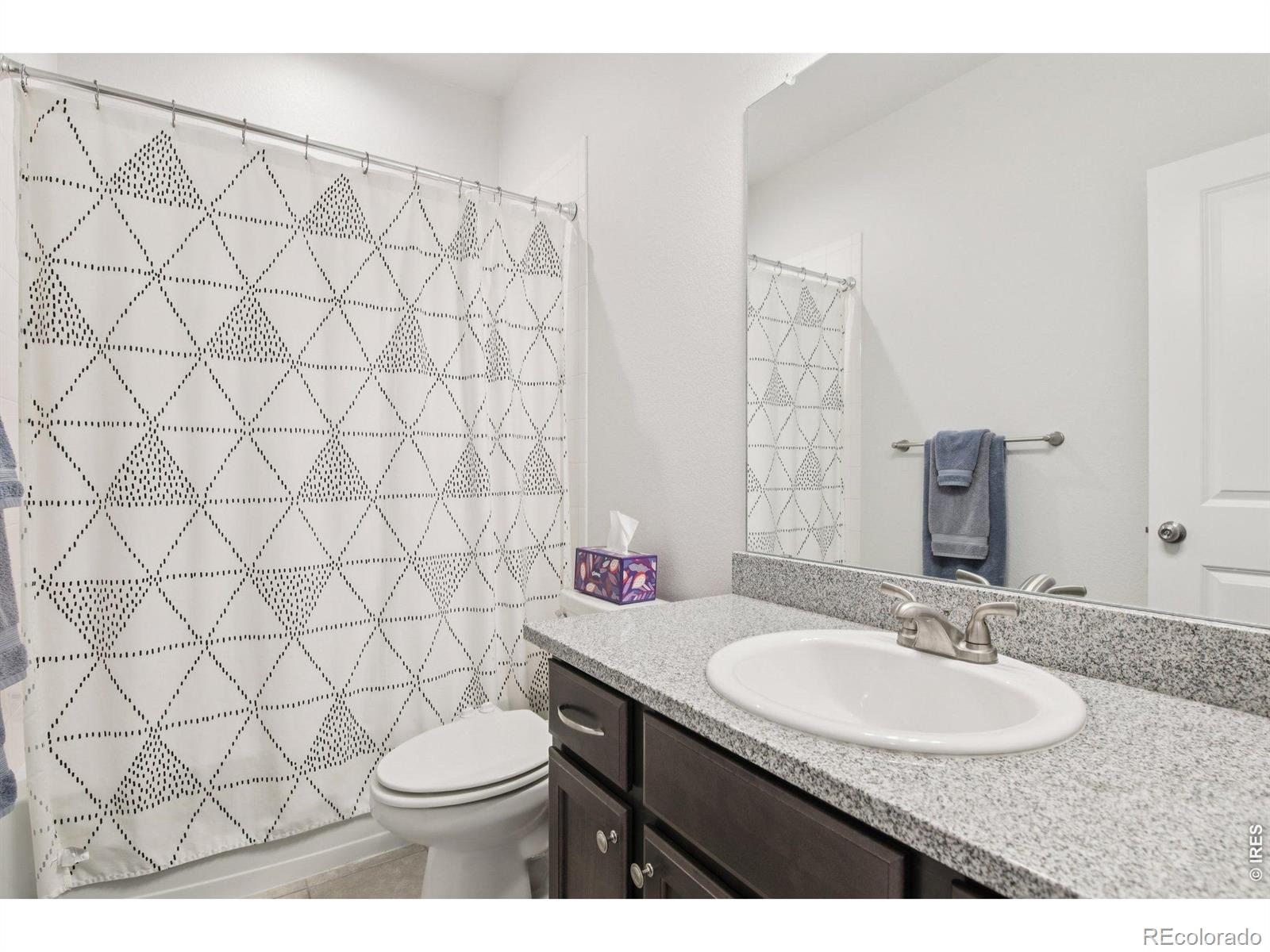 MLS Image #18 for 302  mount rainier street,berthoud, Colorado