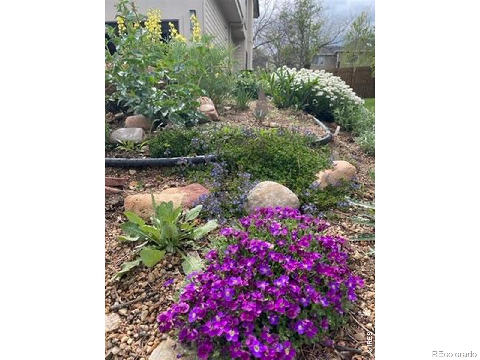 MLS Image #39 for 1111  utica circle,boulder, Colorado