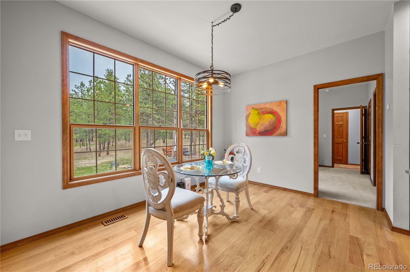 MLS Image #24 for 8360  wranglers way,colorado springs, Colorado
