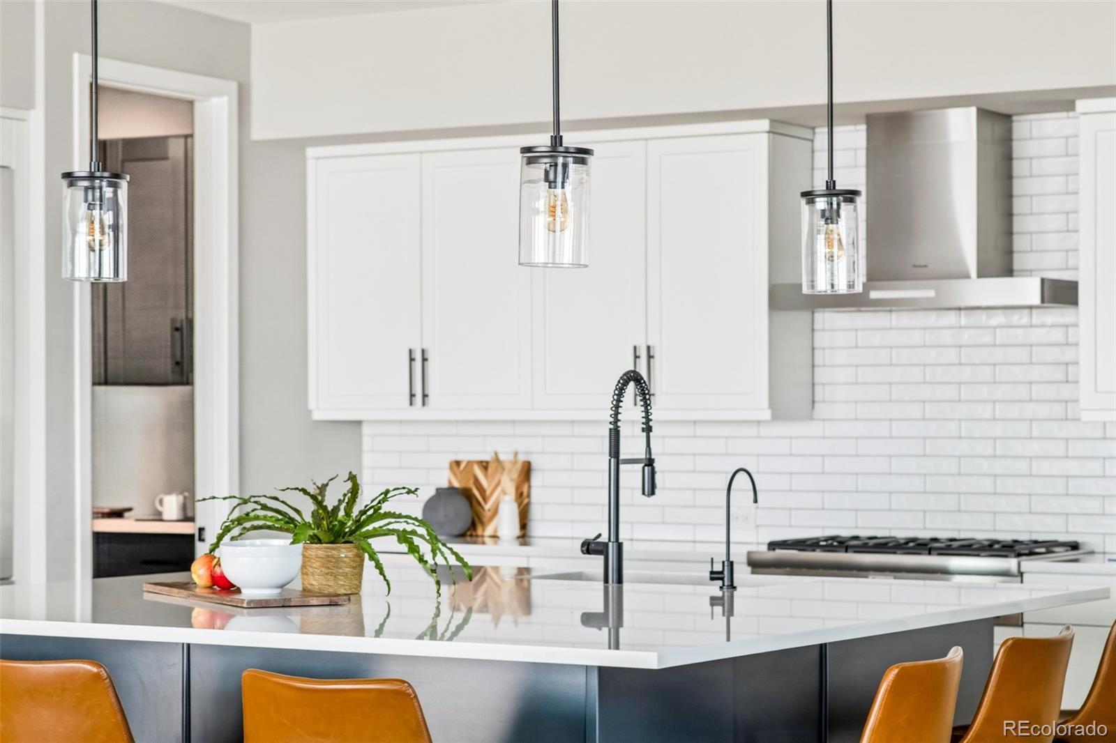 MLS Image #9 for 9807 e 63rd avenue,denver, Colorado