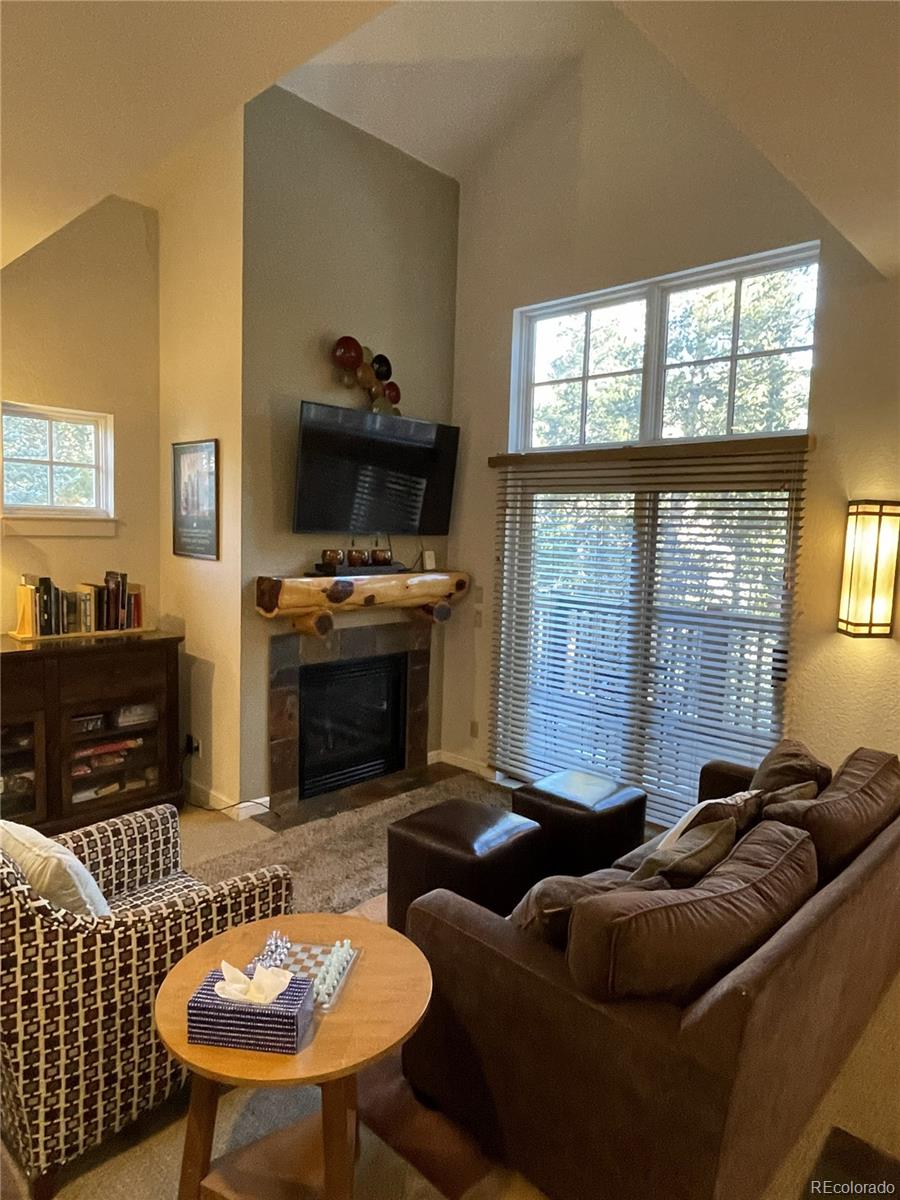 MLS Image #3 for 27  lake ridge circle,dillon, Colorado