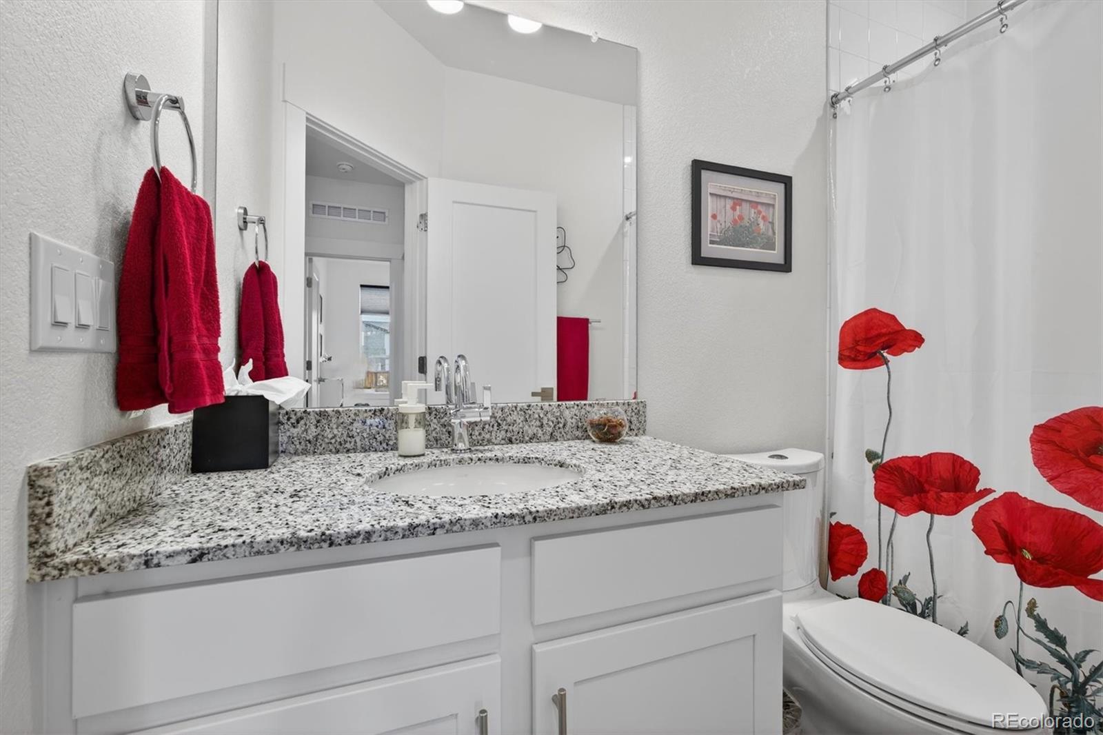 MLS Image #9 for 10076 e 63rd avenue,denver, Colorado