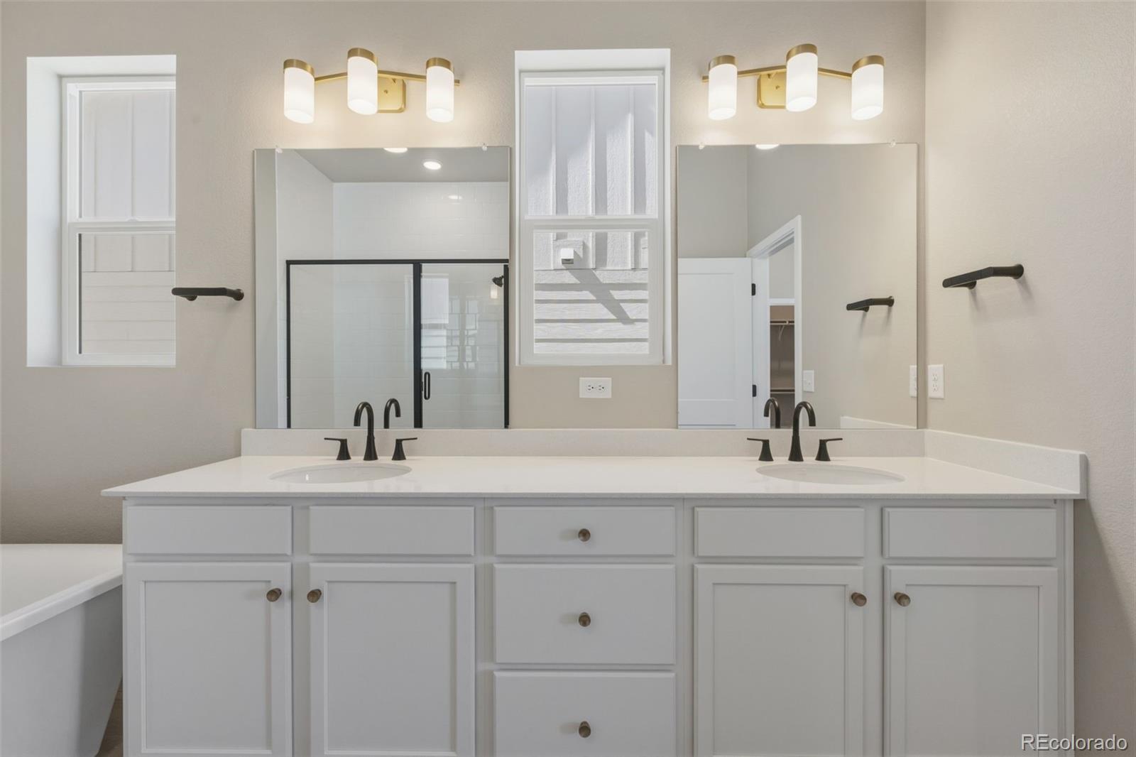 MLS Image #11 for 3435  ballinger circle,mead, Colorado