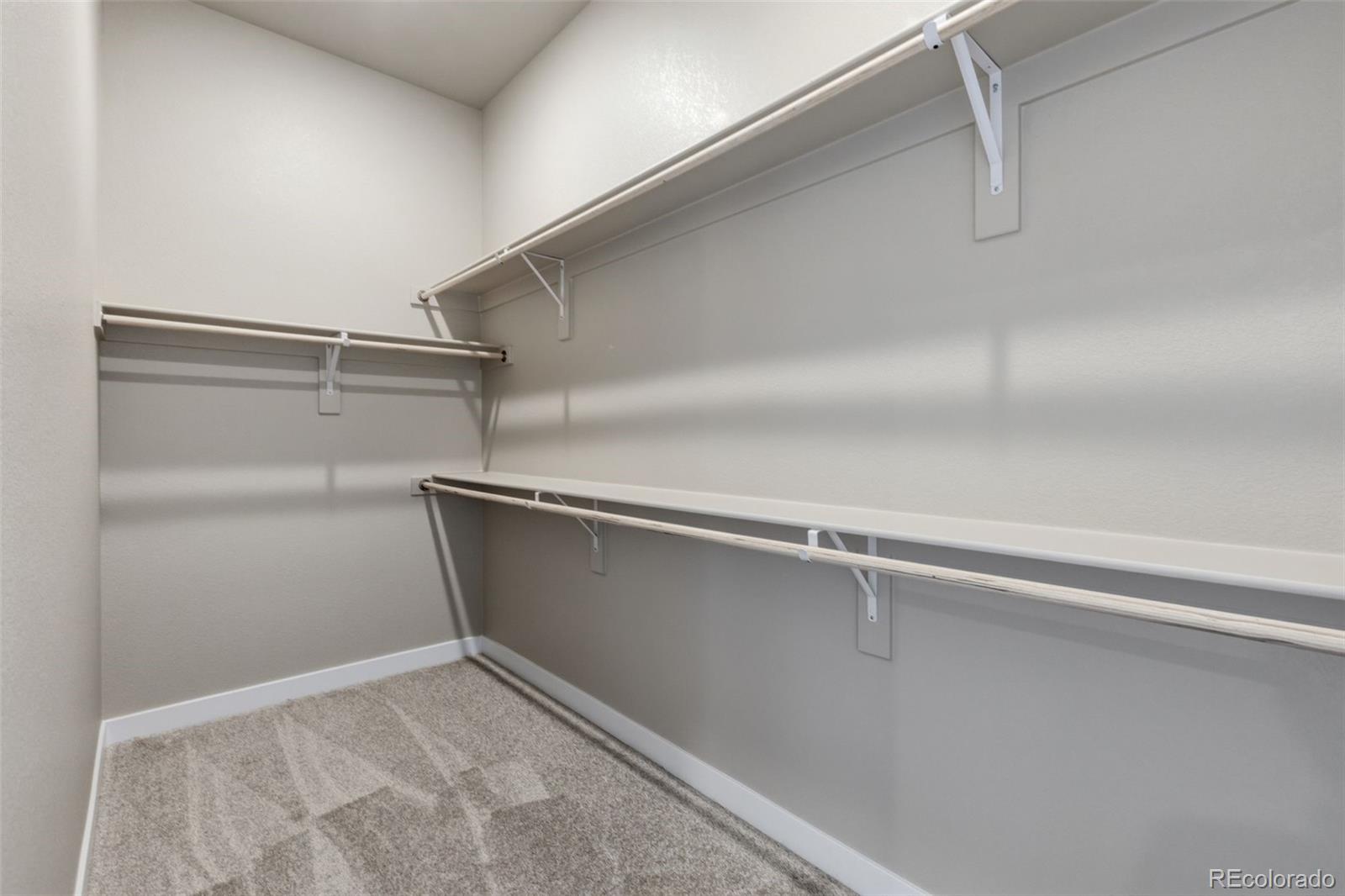 MLS Image #14 for 3435  ballinger circle,mead, Colorado