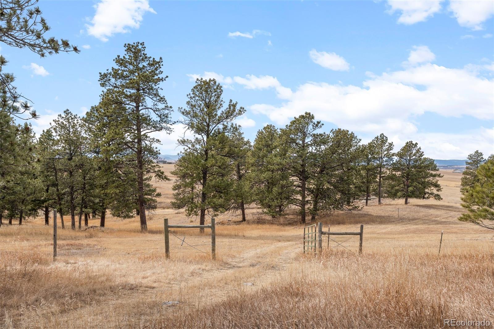 MLS Image #13 for 30999  kootney street,elizabeth, Colorado