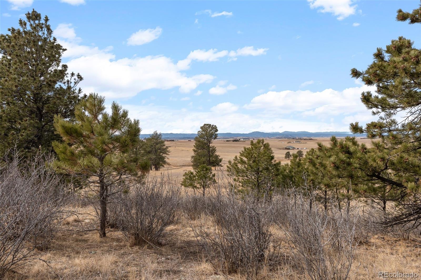 MLS Image #14 for 30999  kootney street,elizabeth, Colorado