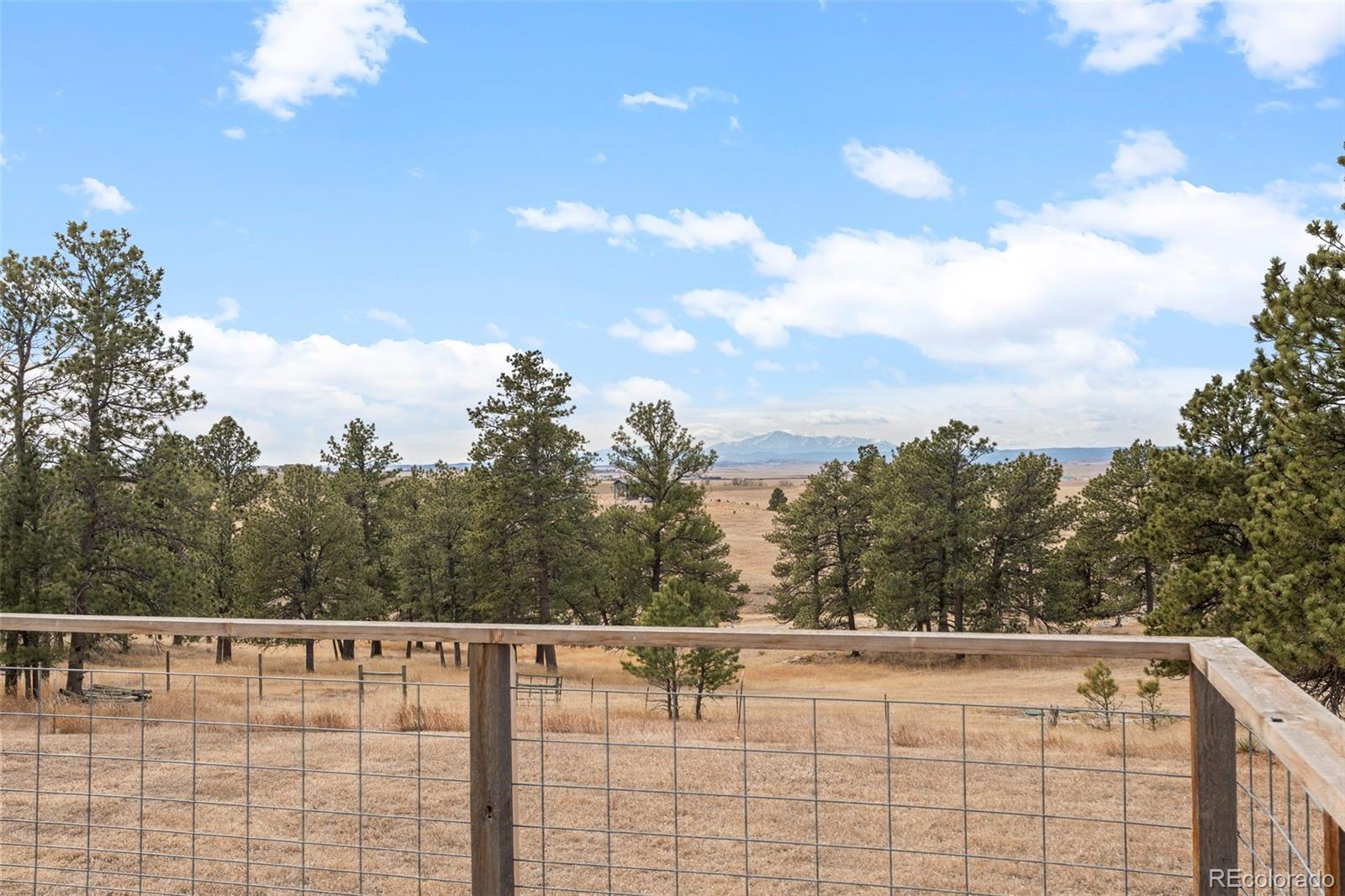 MLS Image #16 for 30999  kootney street,elizabeth, Colorado