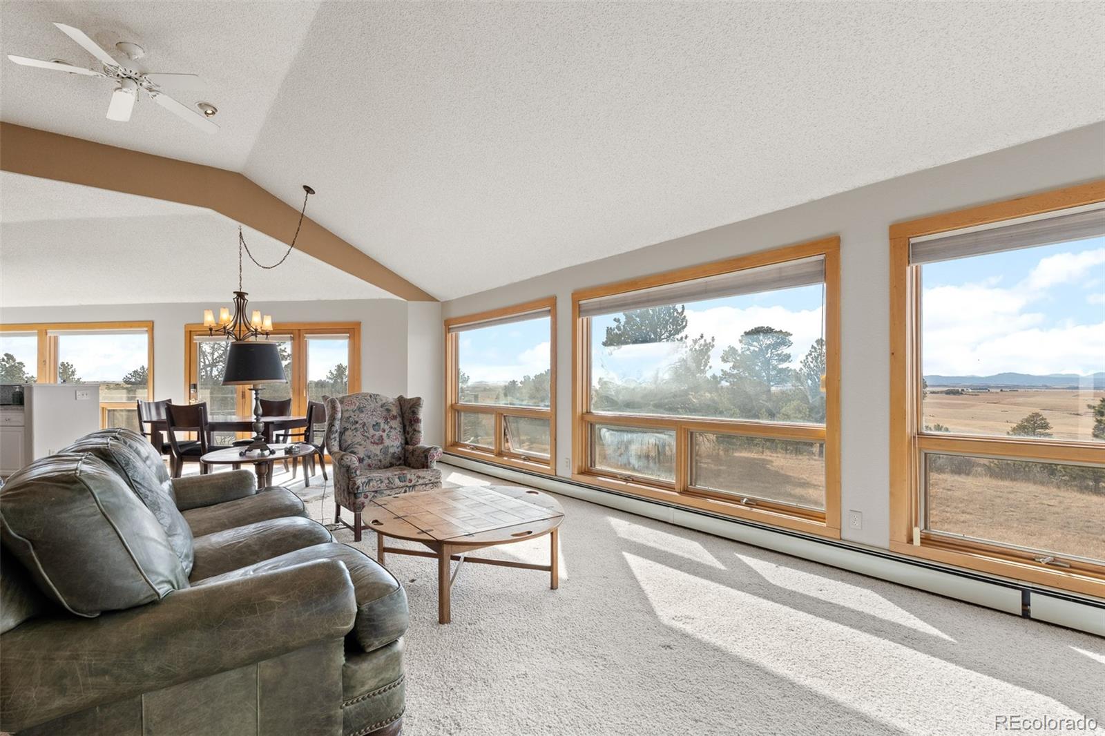 MLS Image #17 for 30999  kootney street,elizabeth, Colorado