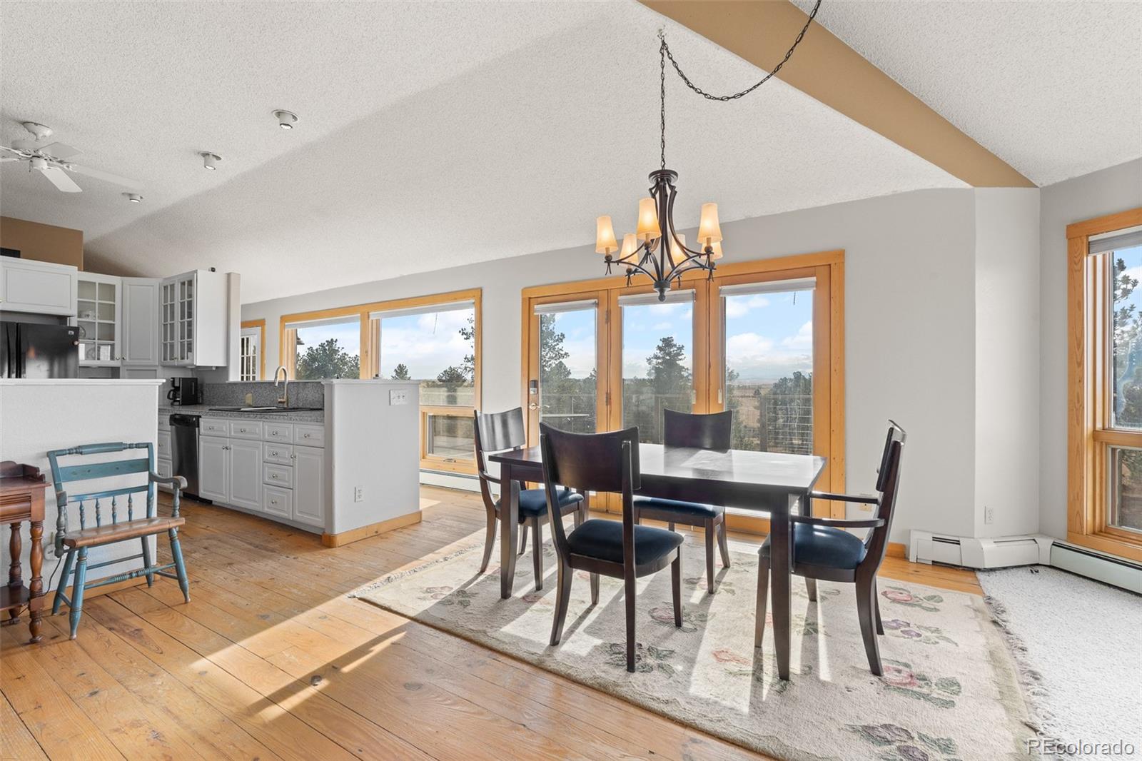 MLS Image #20 for 30999  kootney street,elizabeth, Colorado