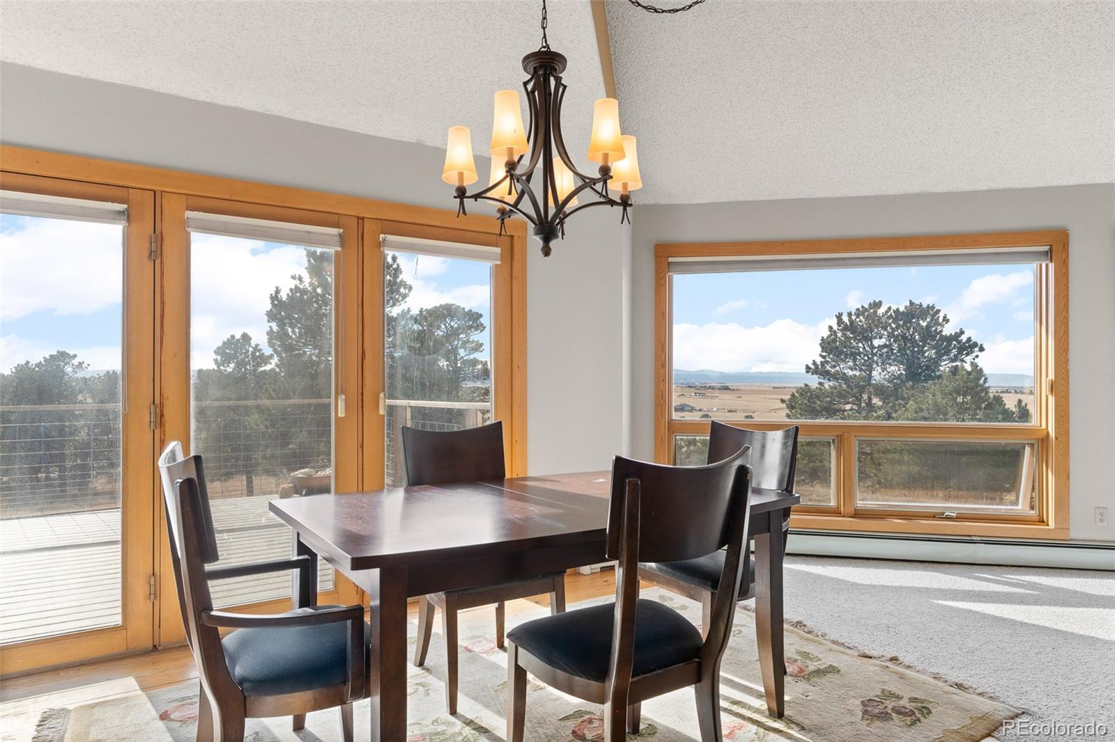 MLS Image #22 for 30999  kootney street,elizabeth, Colorado