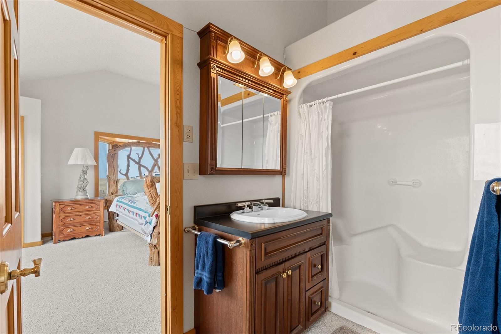MLS Image #29 for 30999  kootney street,elizabeth, Colorado