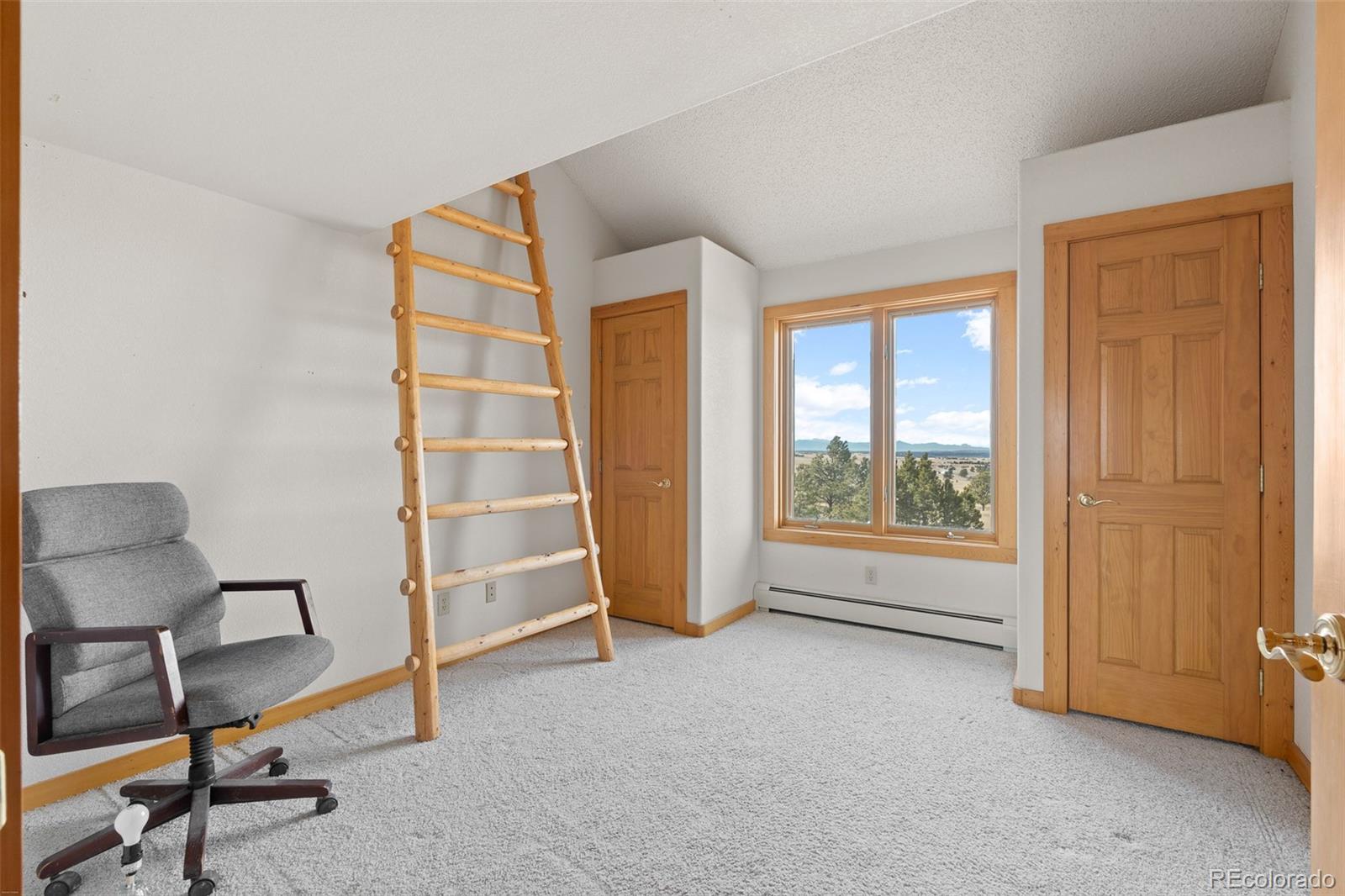 MLS Image #32 for 30999  kootney street,elizabeth, Colorado