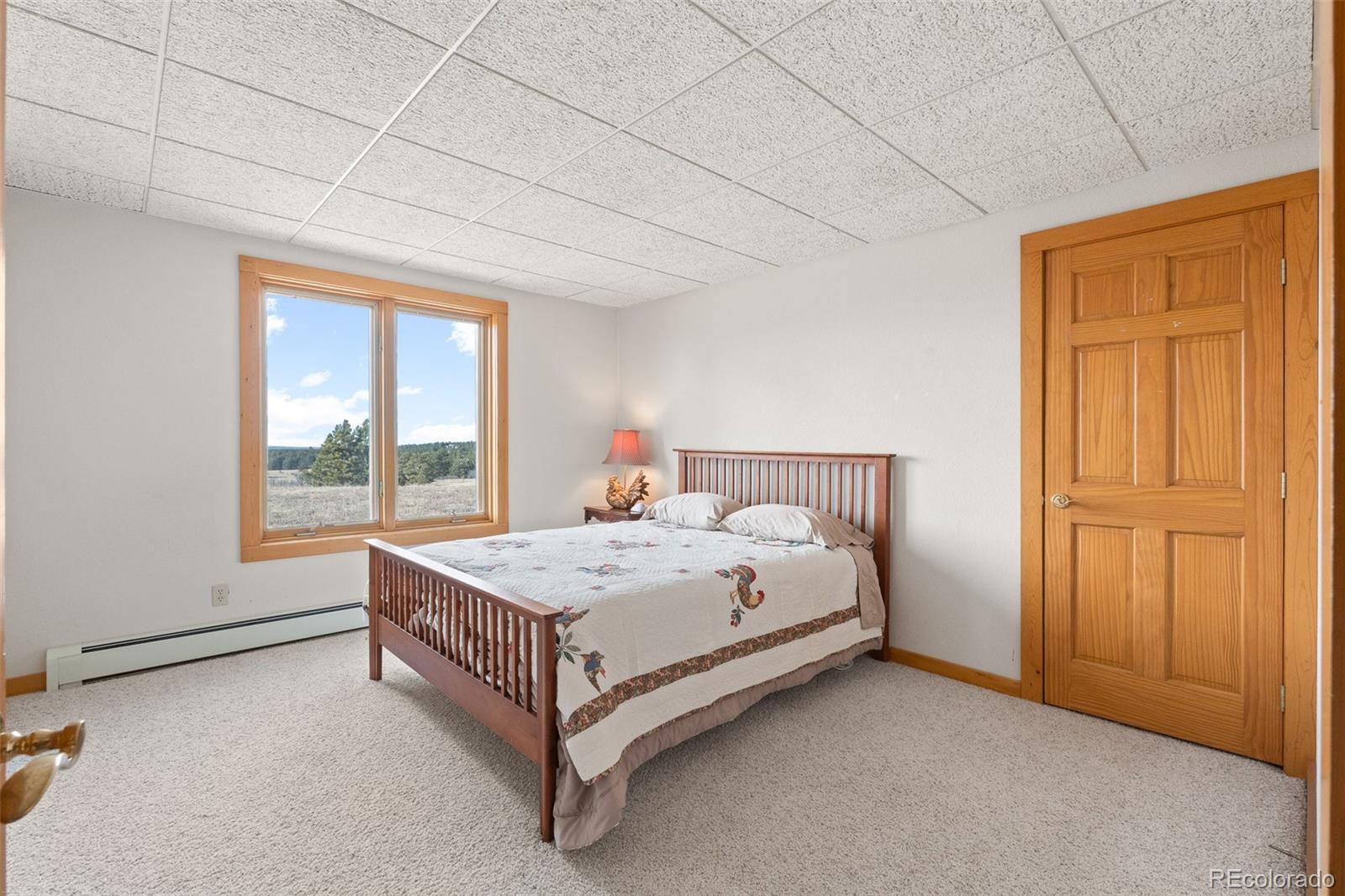 MLS Image #35 for 30999  kootney street,elizabeth, Colorado