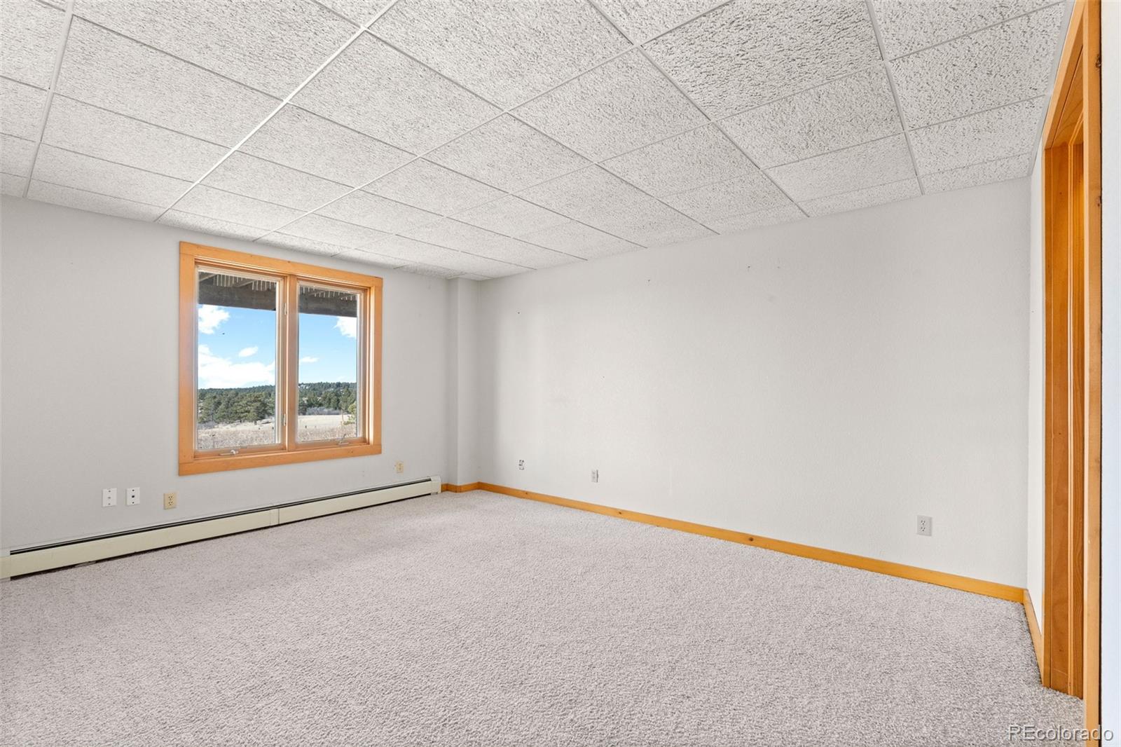 MLS Image #38 for 30999  kootney street,elizabeth, Colorado
