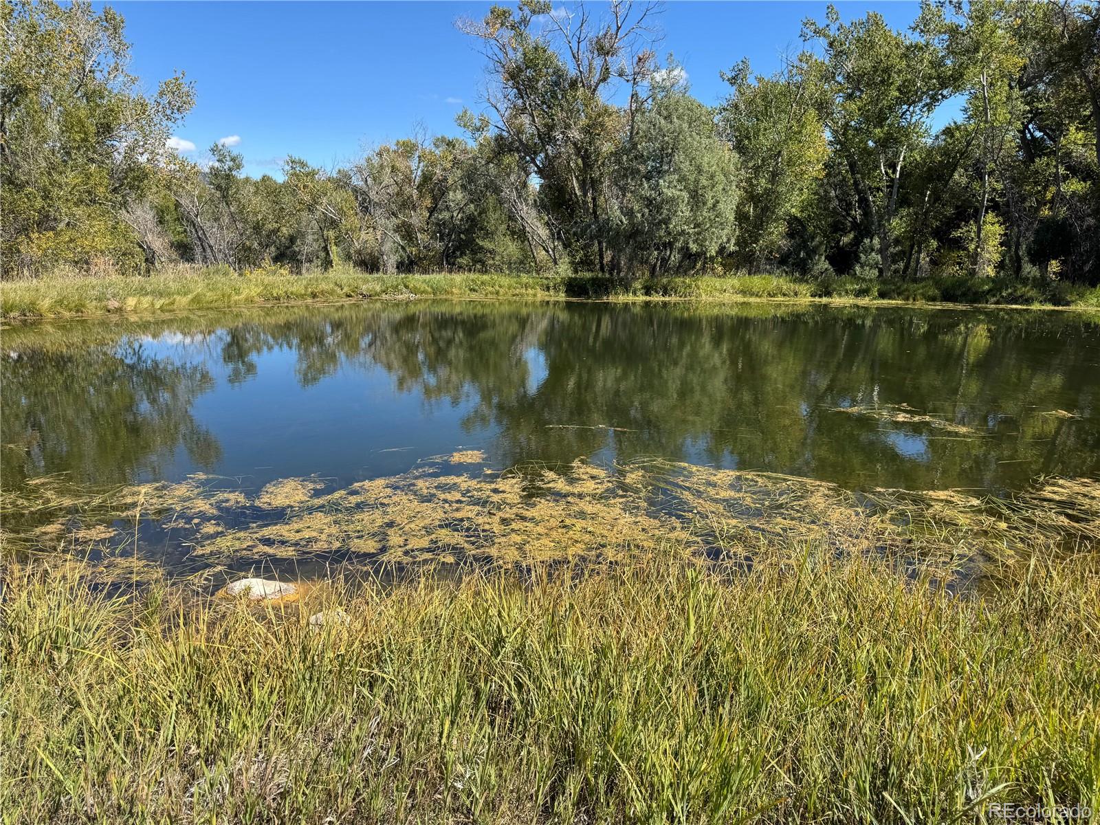 MLS Image #17 for 548  shamrock lane,howard, Colorado