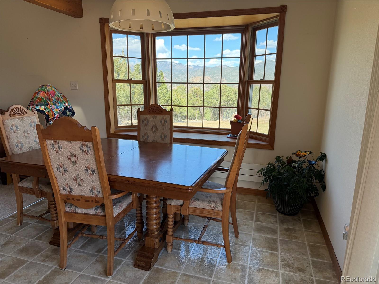 MLS Image #39 for 548  shamrock lane,howard, Colorado