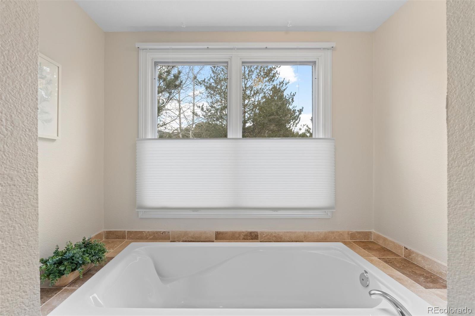 MLS Image #20 for 32430  inverness drive,evergreen, Colorado