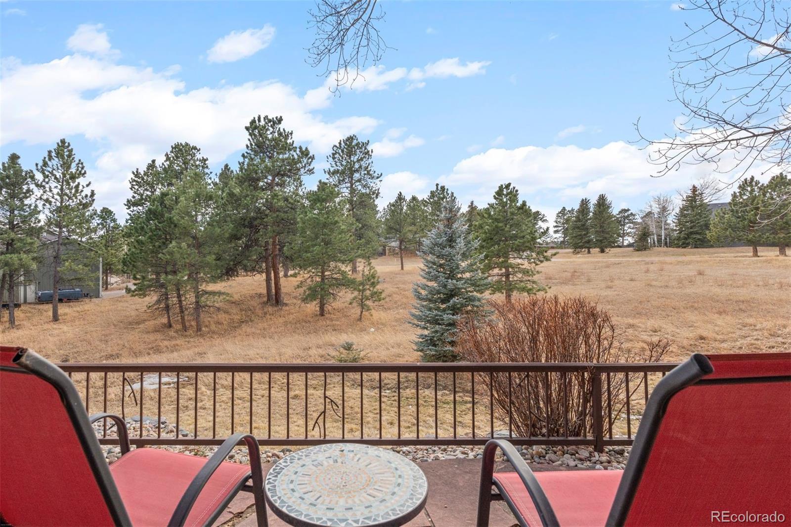 MLS Image #36 for 32430  inverness drive,evergreen, Colorado