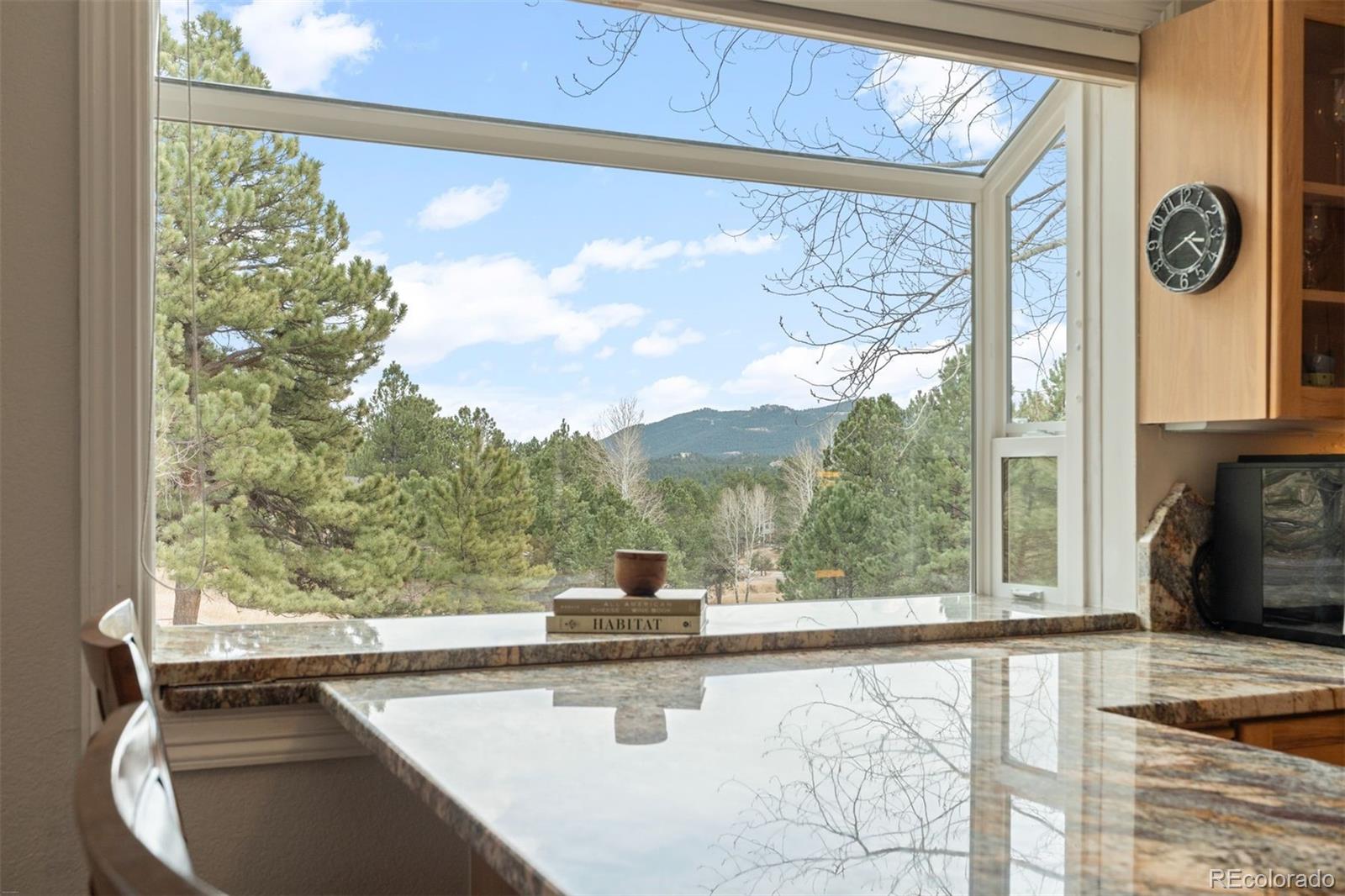 MLS Image #9 for 32430  inverness drive,evergreen, Colorado