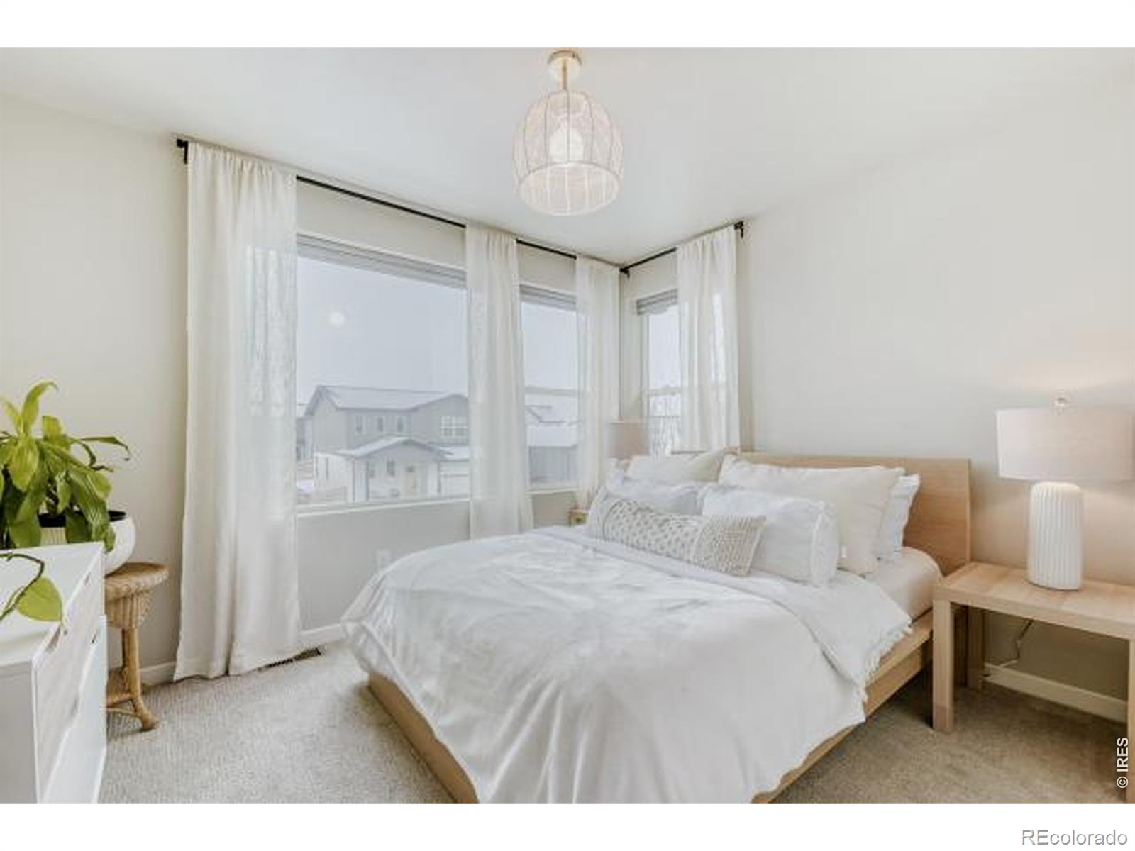 MLS Image #24 for 2969  conquest street,fort collins, Colorado