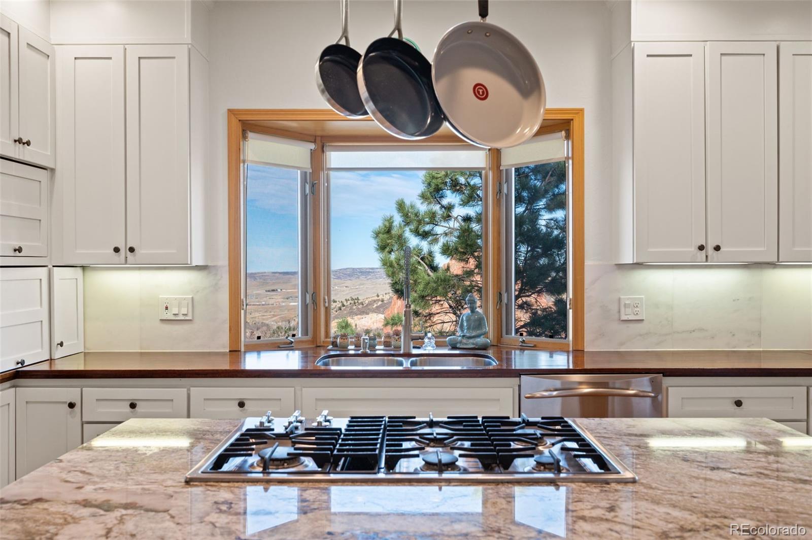 MLS Image #16 for 10572  harebell run,littleton, Colorado