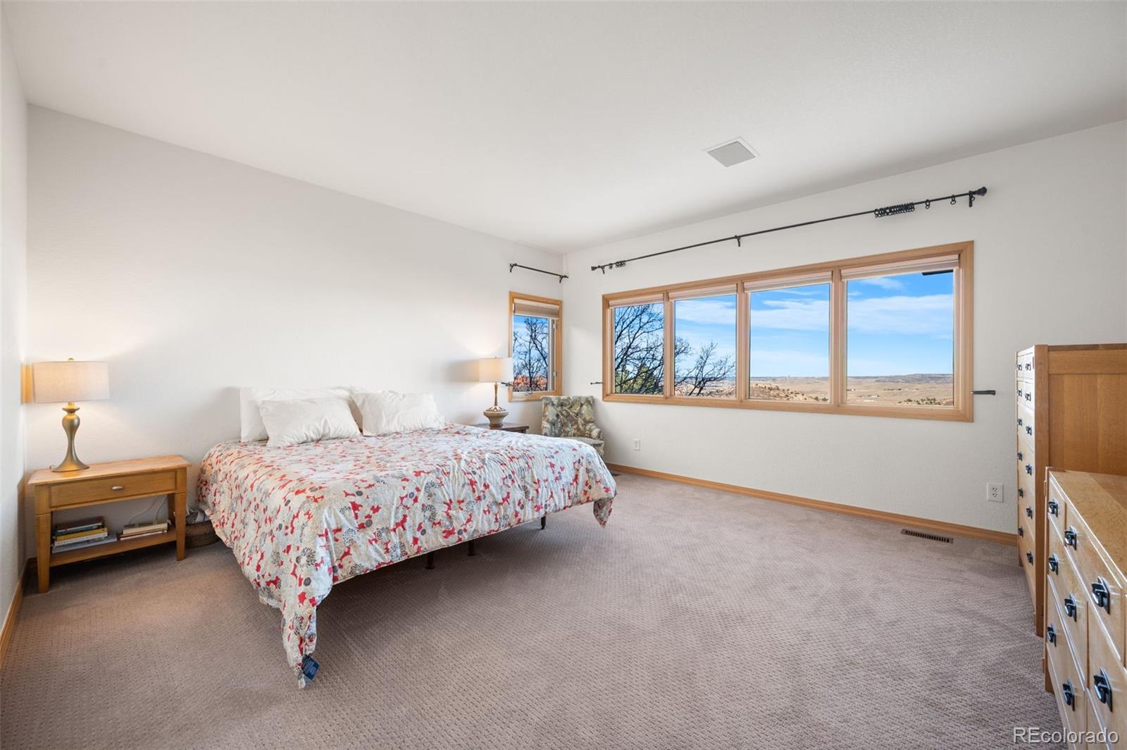 MLS Image #21 for 10572  harebell run,littleton, Colorado