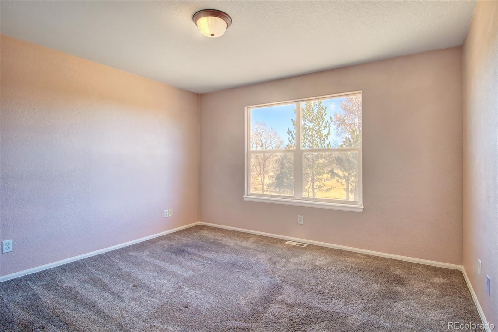 MLS Image #12 for 3579  indigo ridge point ,colorado springs, Colorado