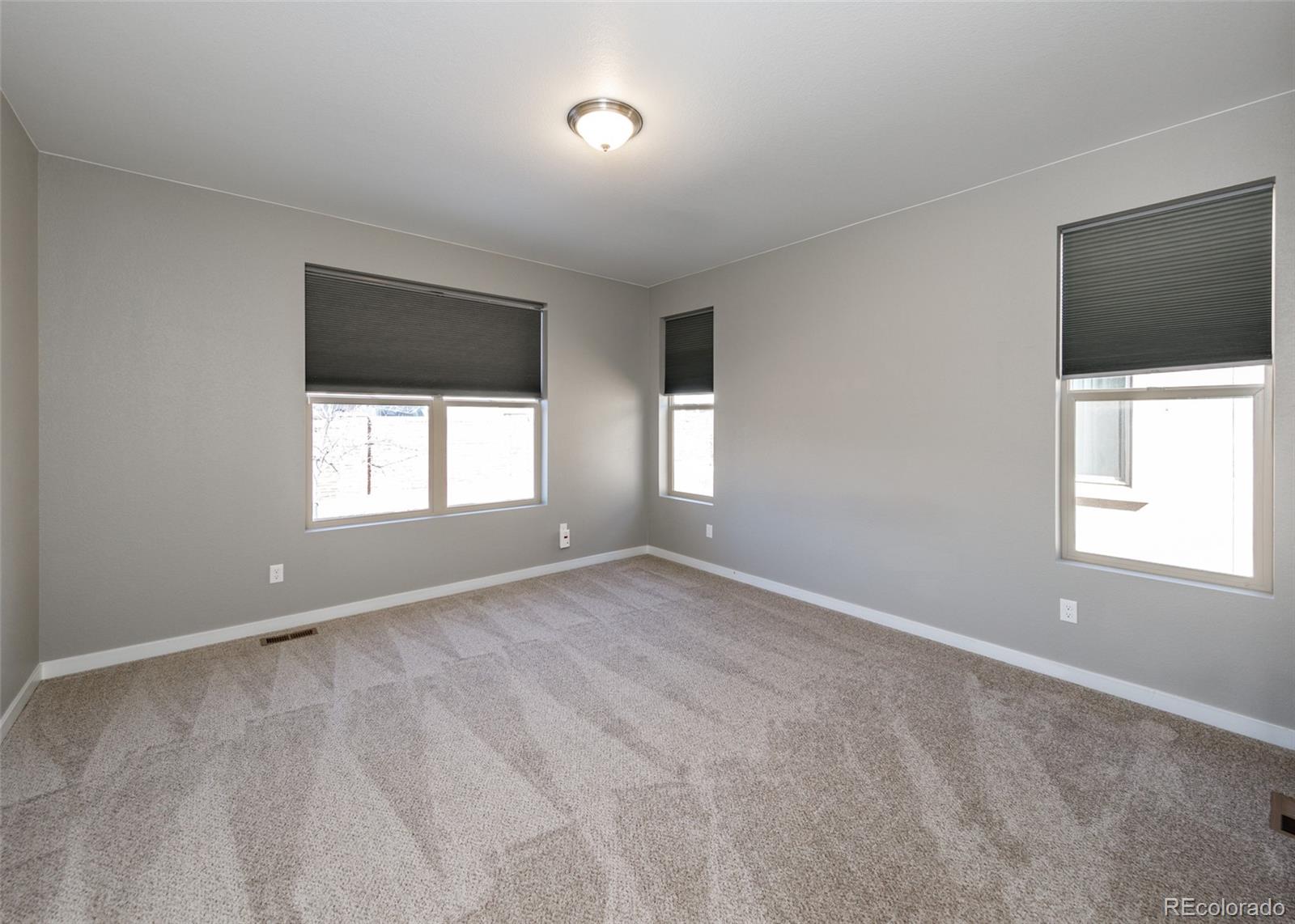 MLS Image #18 for 3316  union jack way,colorado springs, Colorado