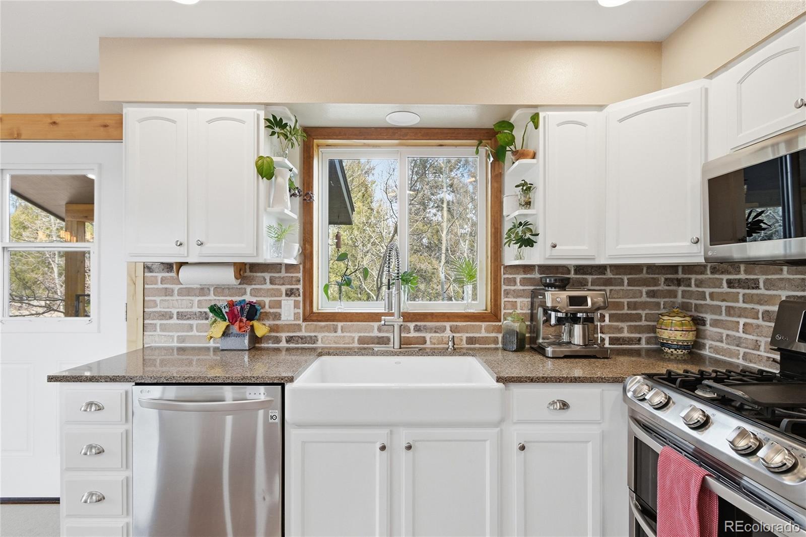 MLS Image #10 for 1146  tapadero road,bailey, Colorado