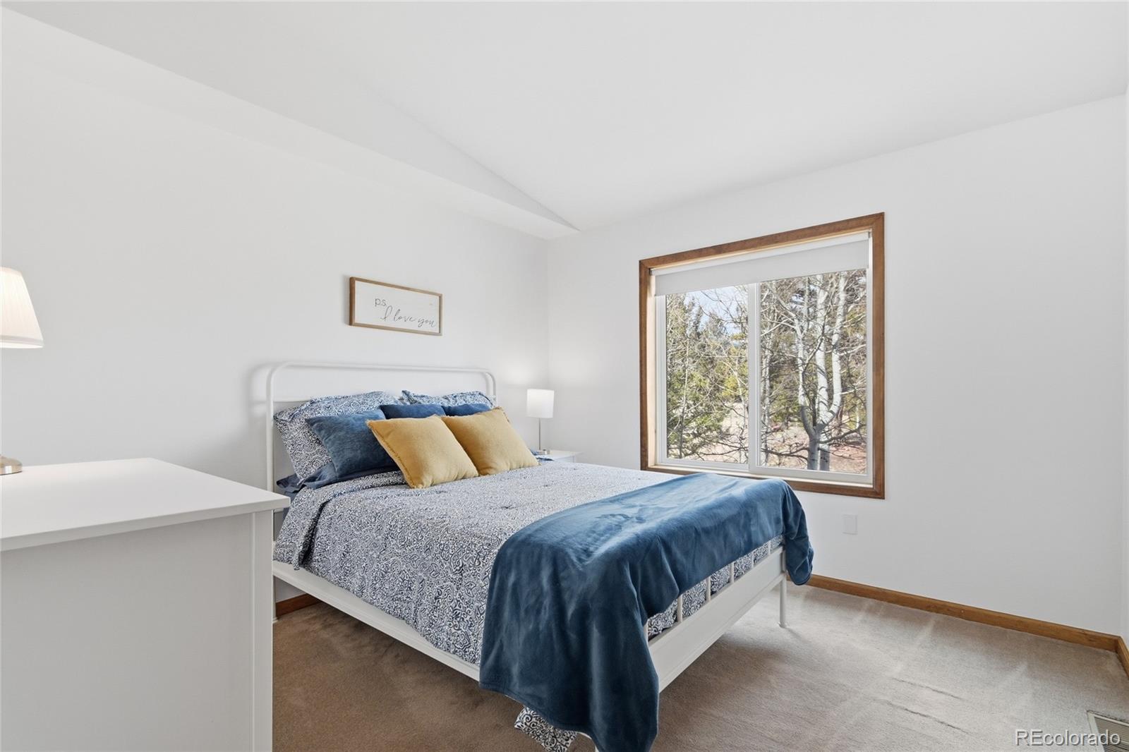 MLS Image #12 for 1146  tapadero road,bailey, Colorado