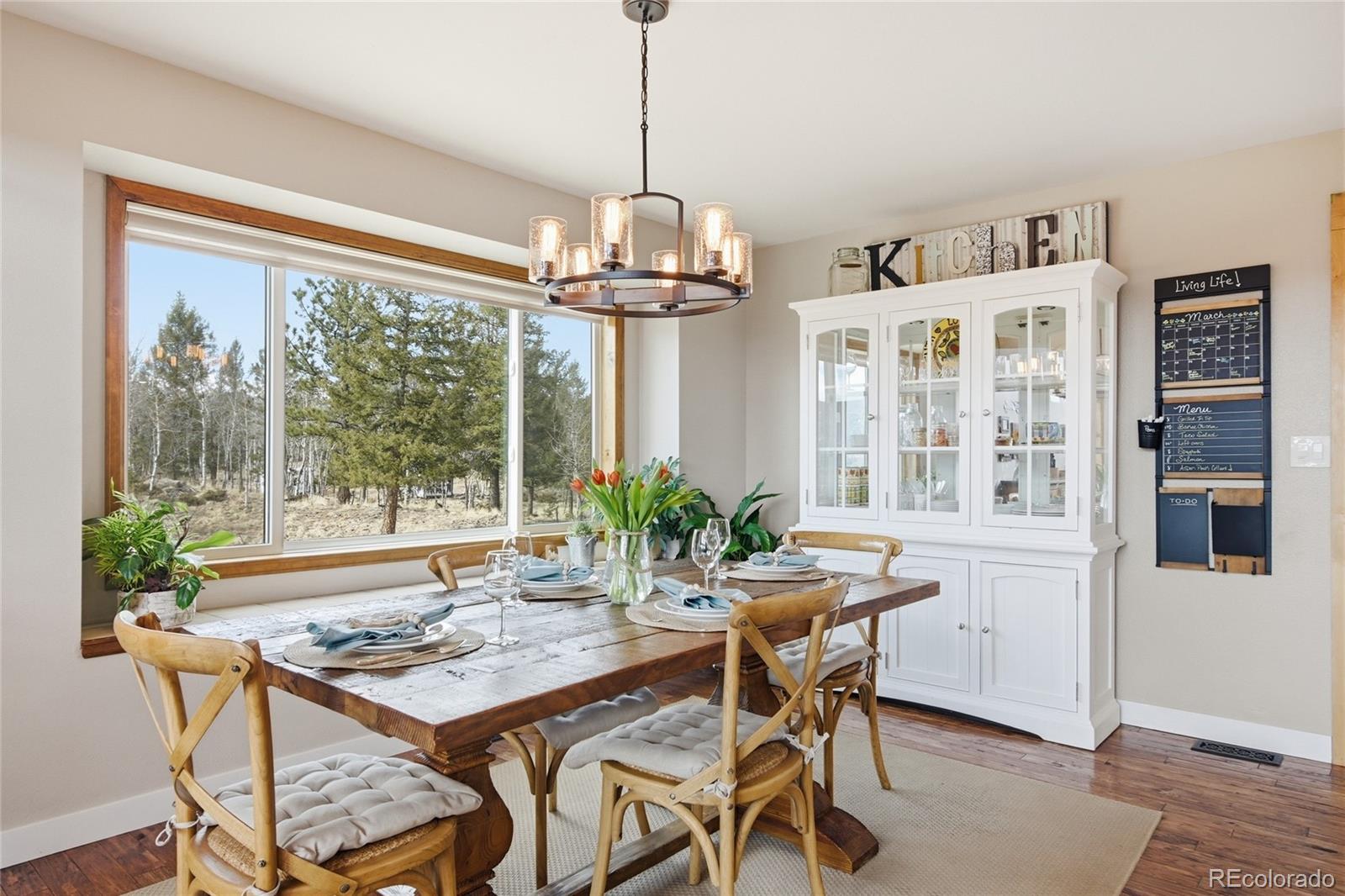 MLS Image #8 for 1146  tapadero road,bailey, Colorado