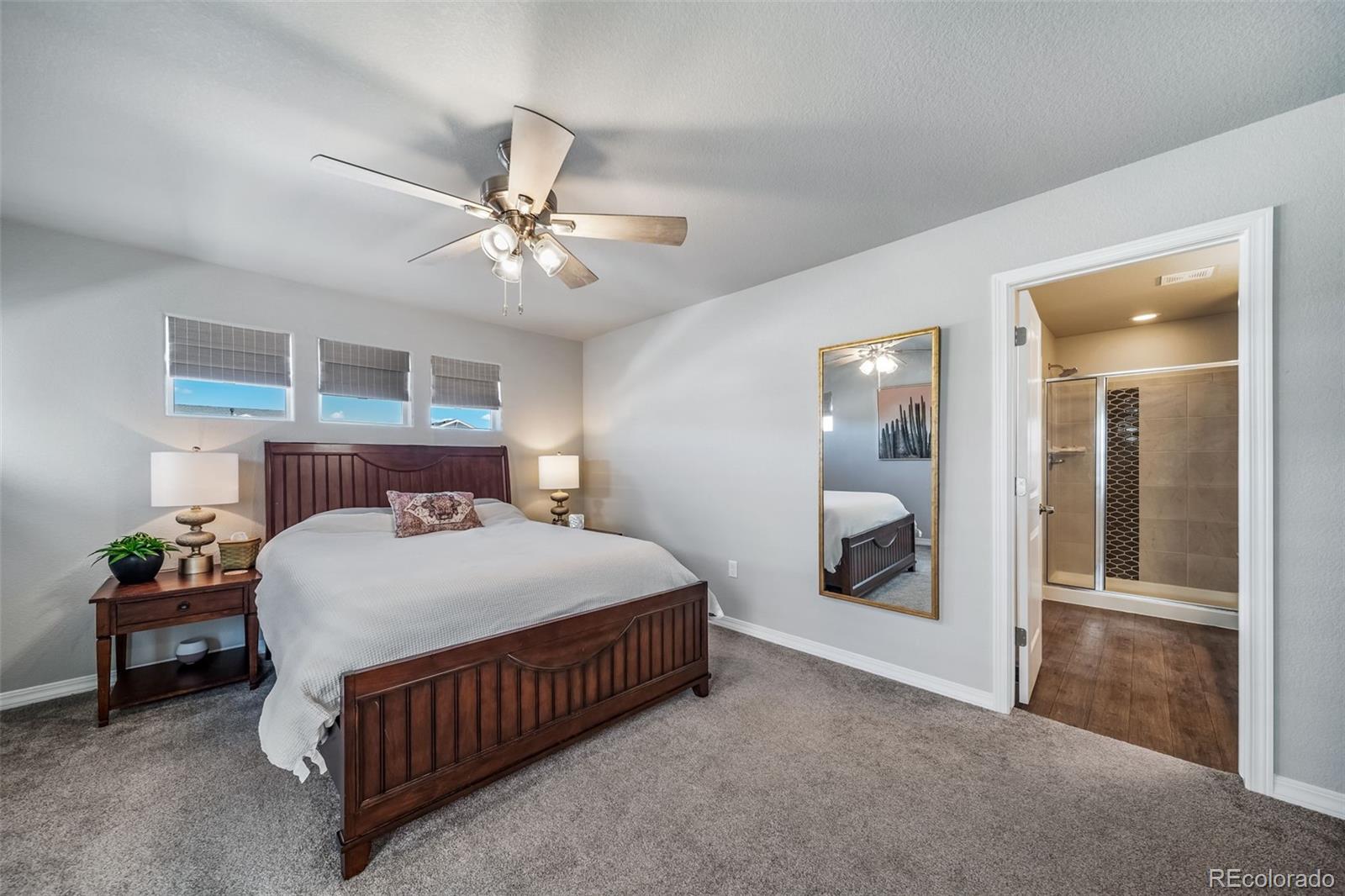 MLS Image #21 for 8108  kittrick place,peyton, Colorado