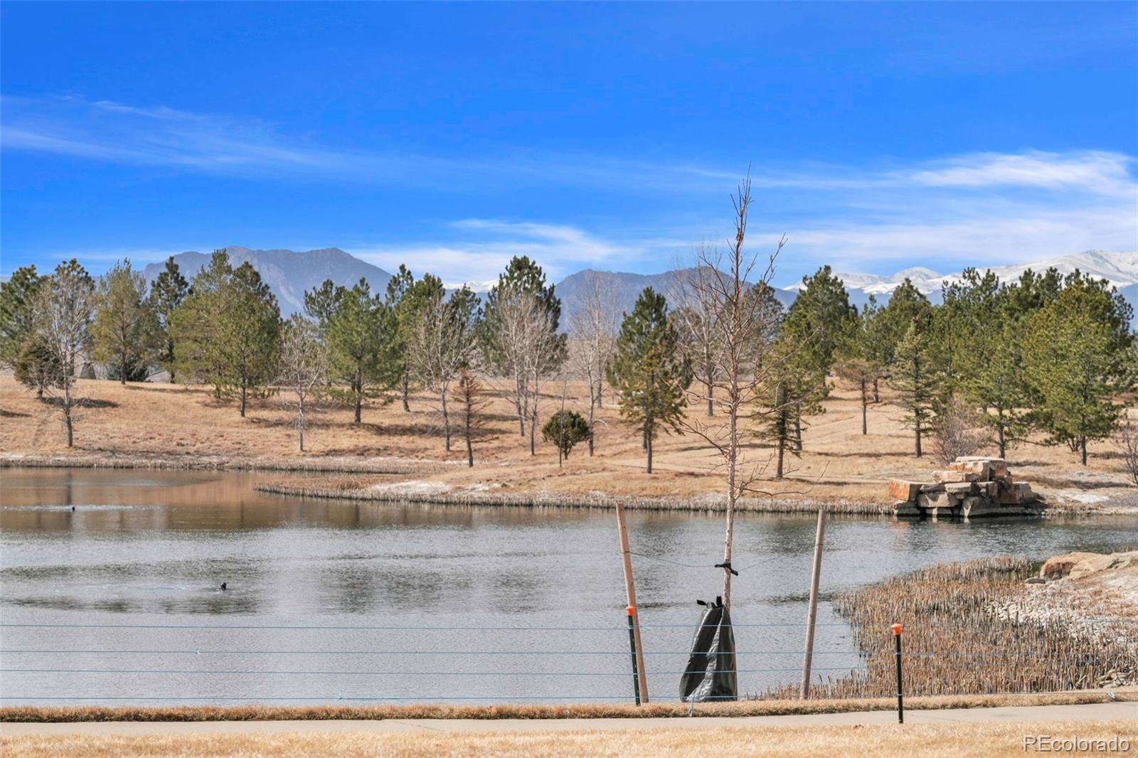 MLS Image #32 for 16496  chesapeake drive,broomfield, Colorado