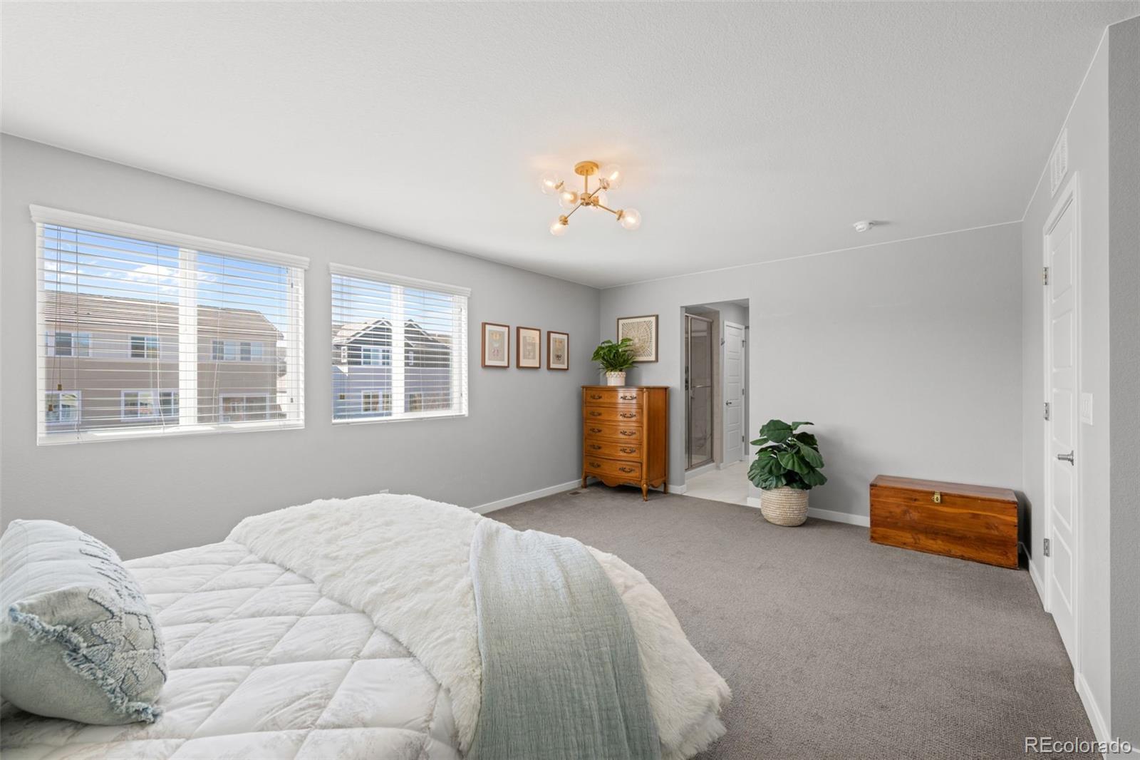 MLS Image #19 for 14402  big stone drive,parker, Colorado