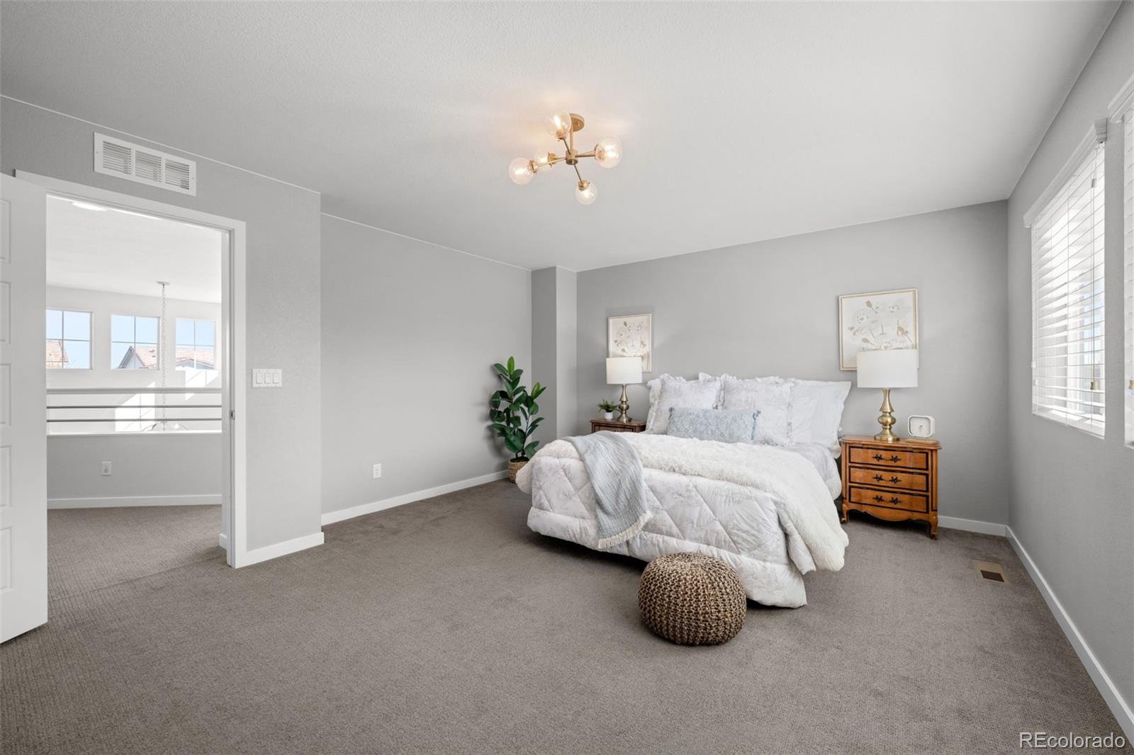 MLS Image #20 for 14402  big stone drive,parker, Colorado