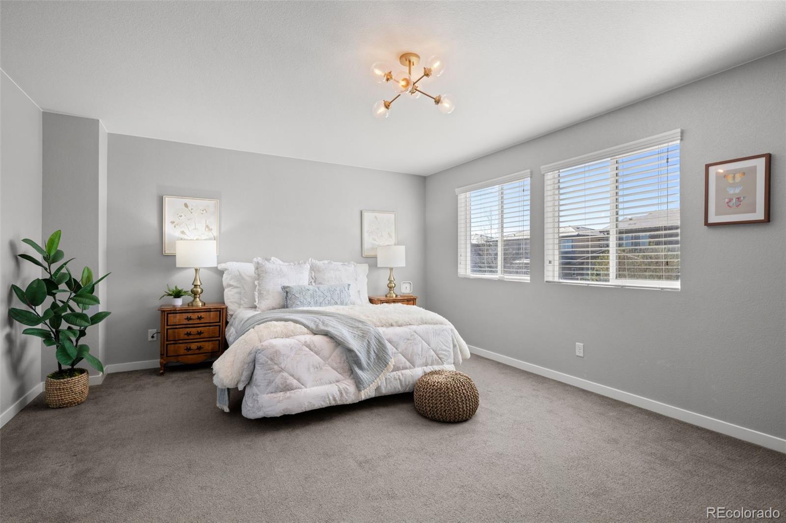 MLS Image #21 for 14402  big stone drive,parker, Colorado