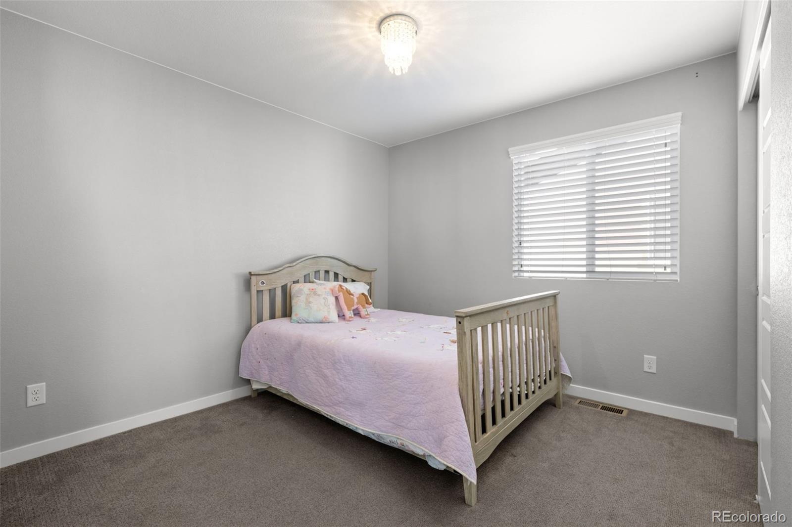 MLS Image #24 for 14402  big stone drive,parker, Colorado