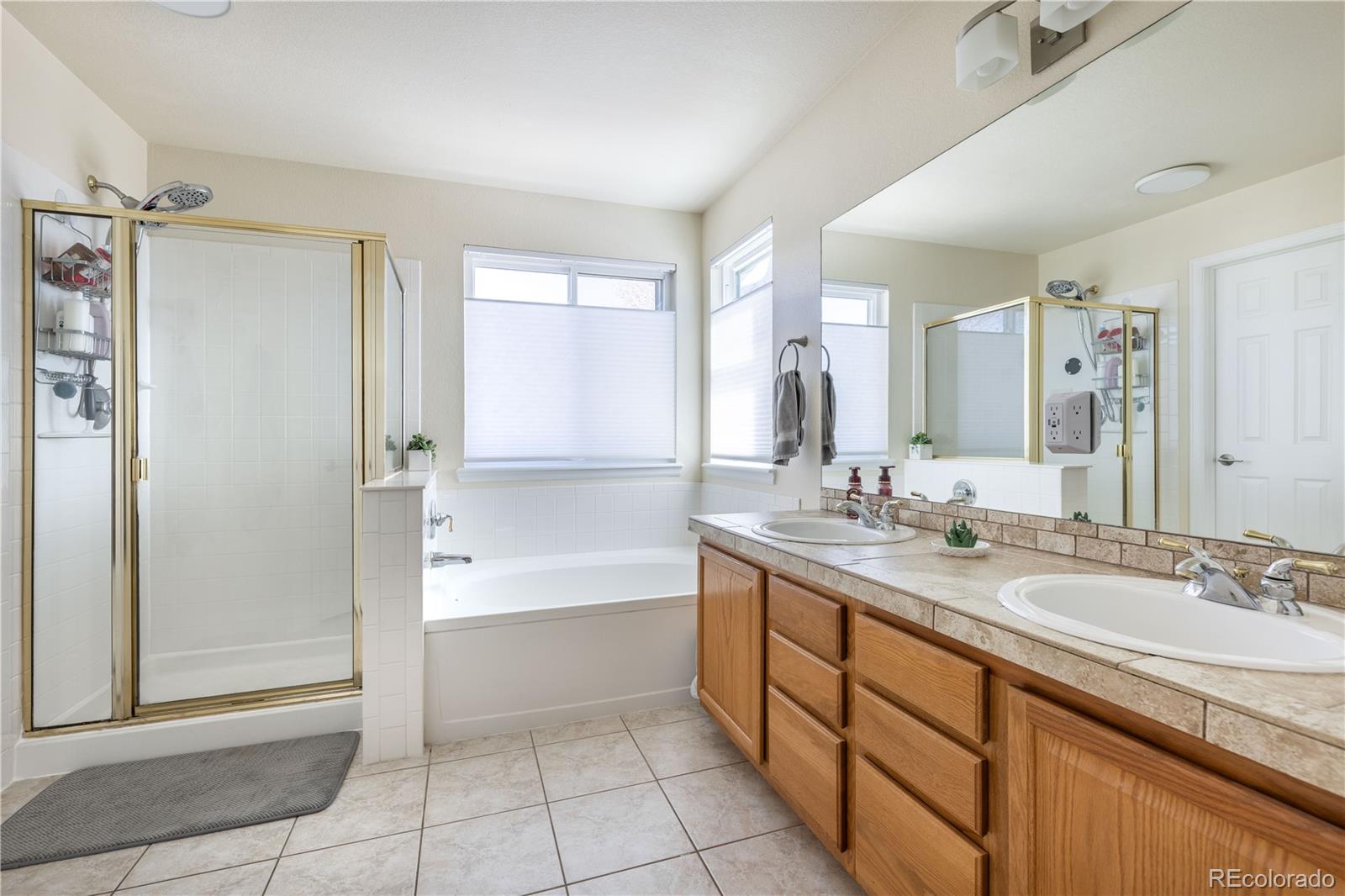 MLS Image #14 for 276  lockwood street,castle rock, Colorado