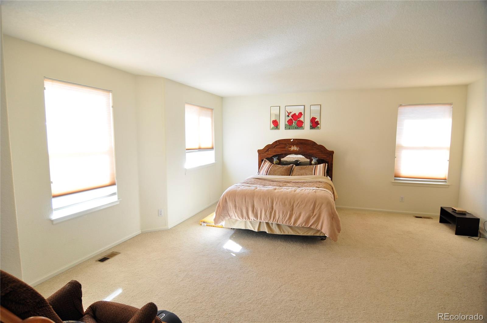 MLS Image #11 for 13905  ivy street,thornton, Colorado