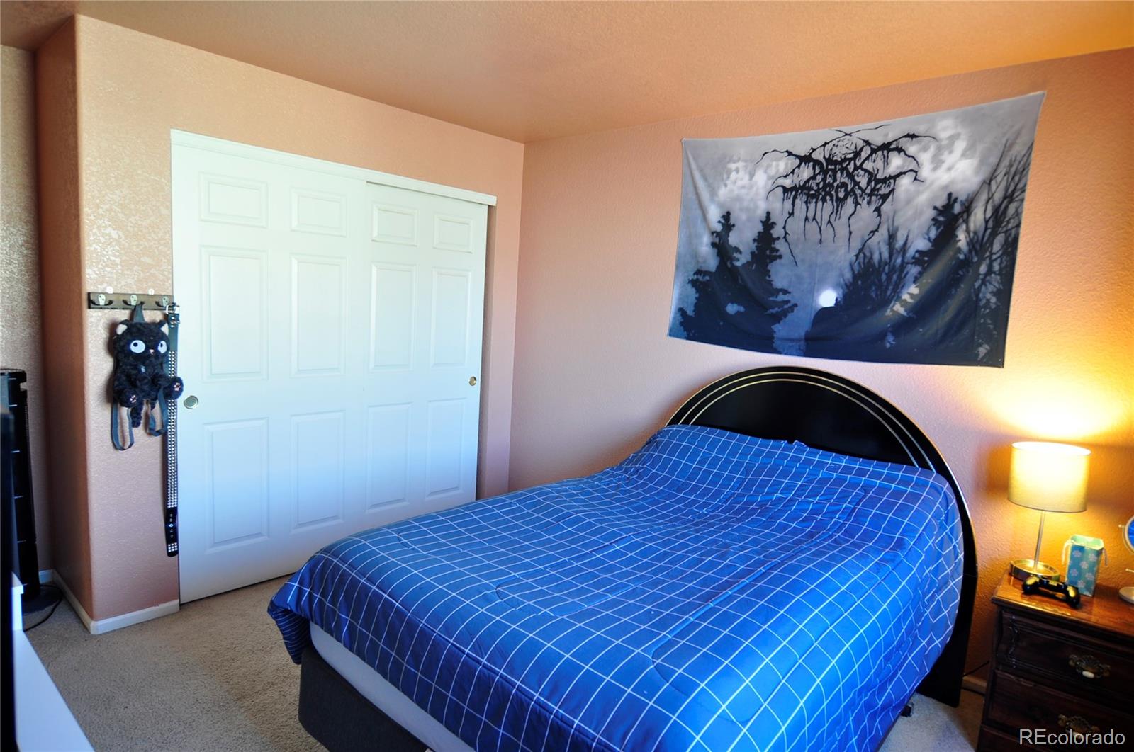 MLS Image #17 for 13905  ivy street,thornton, Colorado