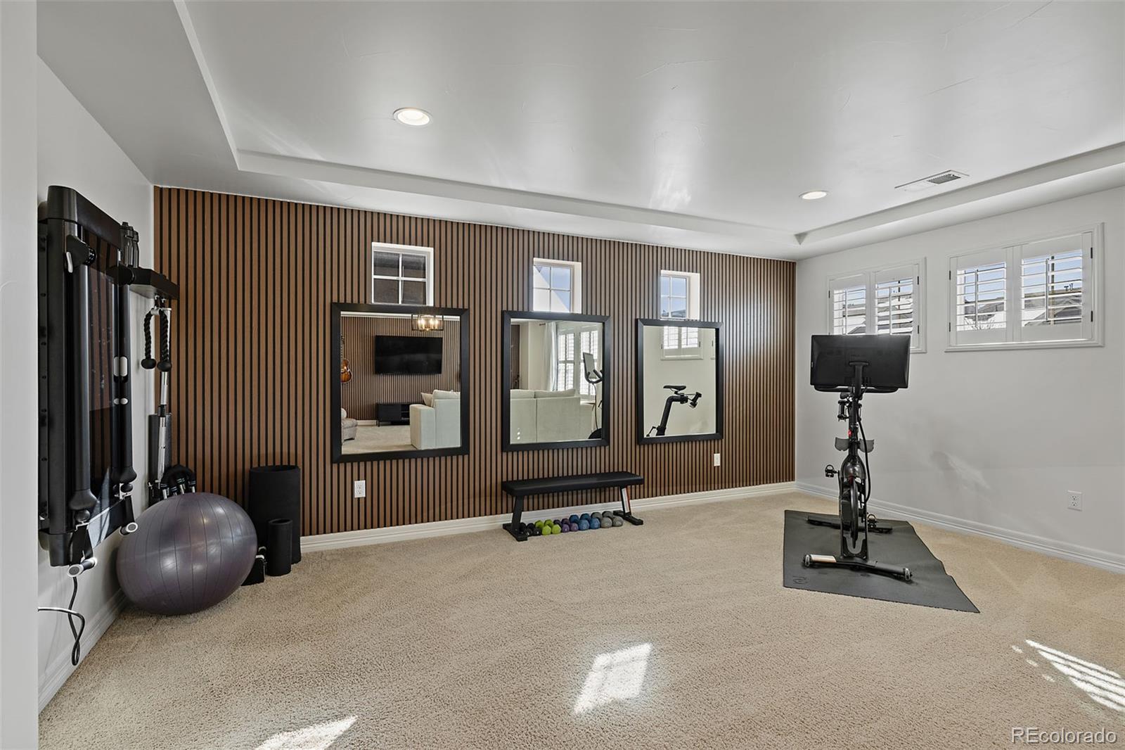 MLS Image #22 for 3977  hourglass avenue,castle rock, Colorado