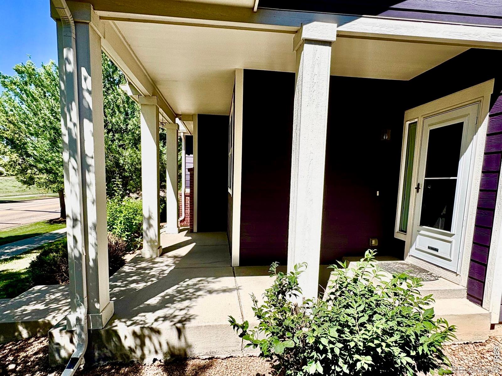 MLS Image #2 for 527  deerwood drive,longmont, Colorado