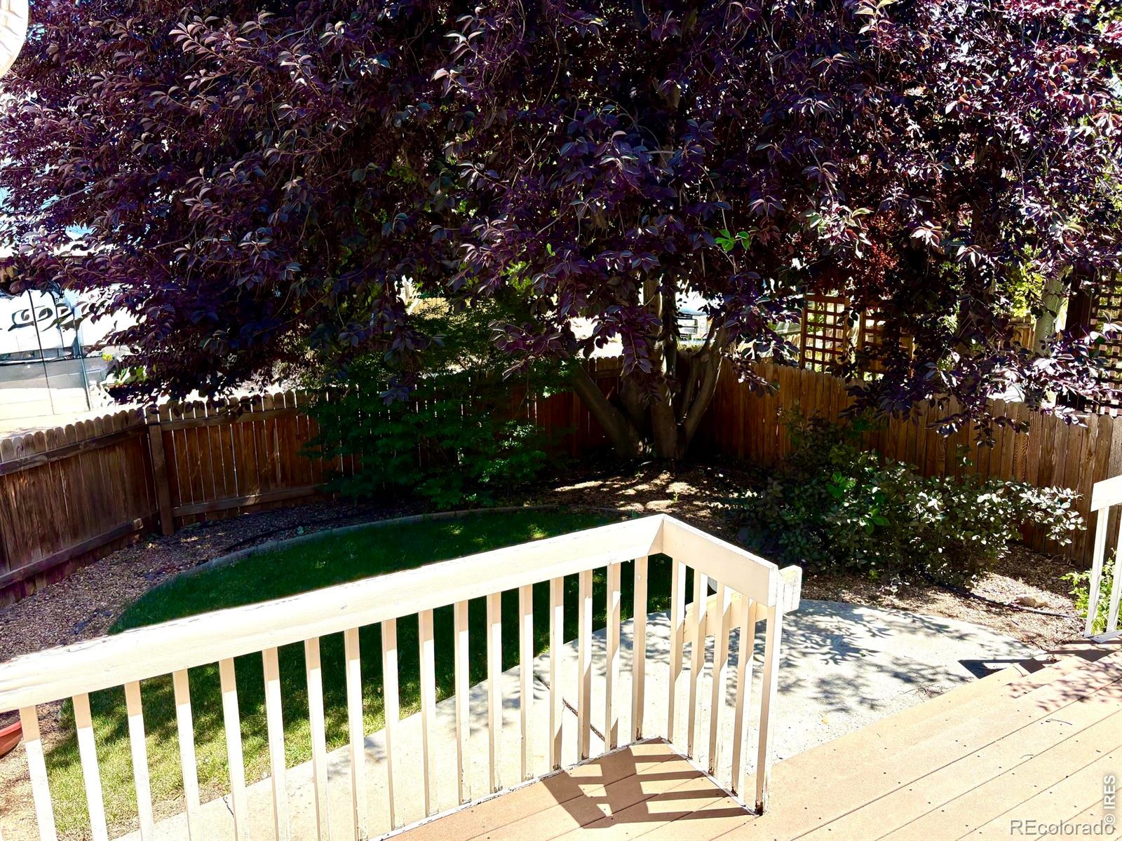 MLS Image #26 for 527  deerwood drive,longmont, Colorado