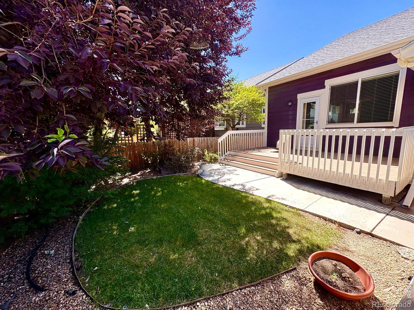 MLS Image #6 for 527  deerwood drive,longmont, Colorado