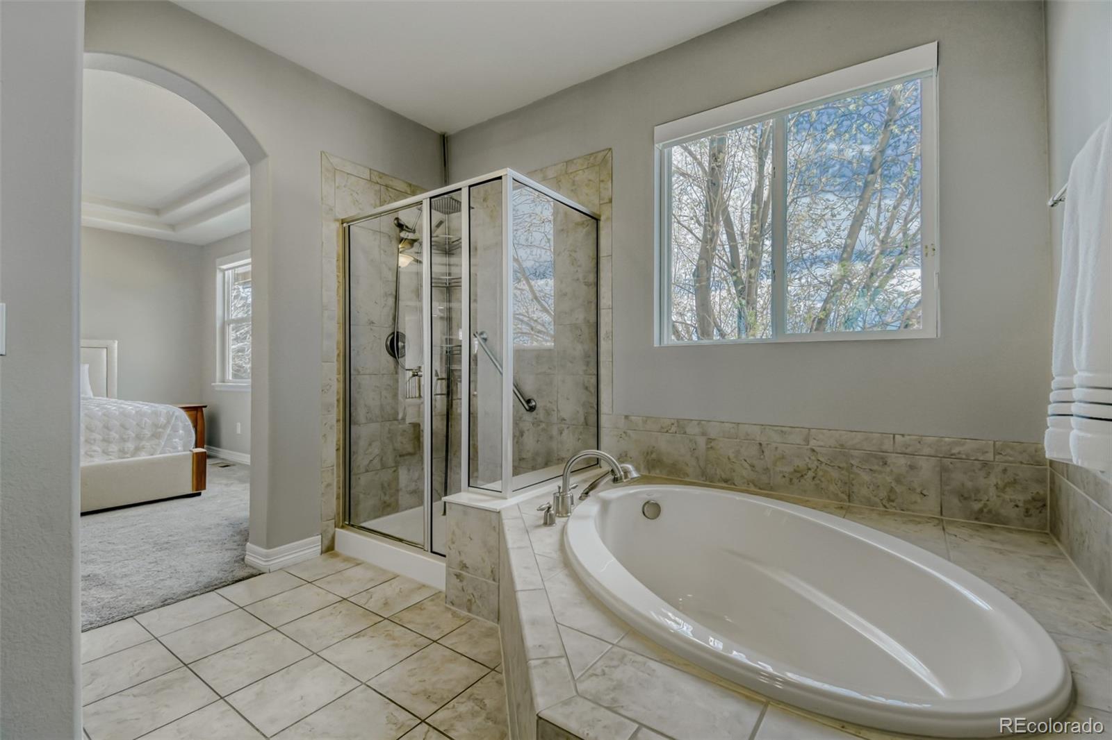 MLS Image #15 for 15005  verbena street,thornton, Colorado