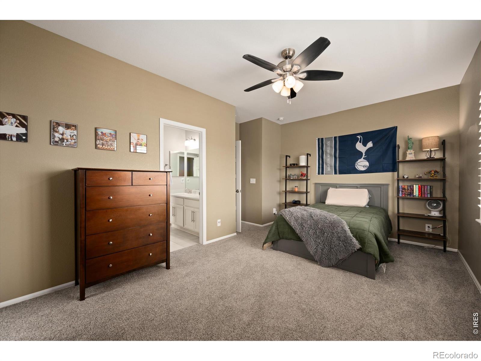 MLS Image #30 for 6150  washakie court,timnath, Colorado